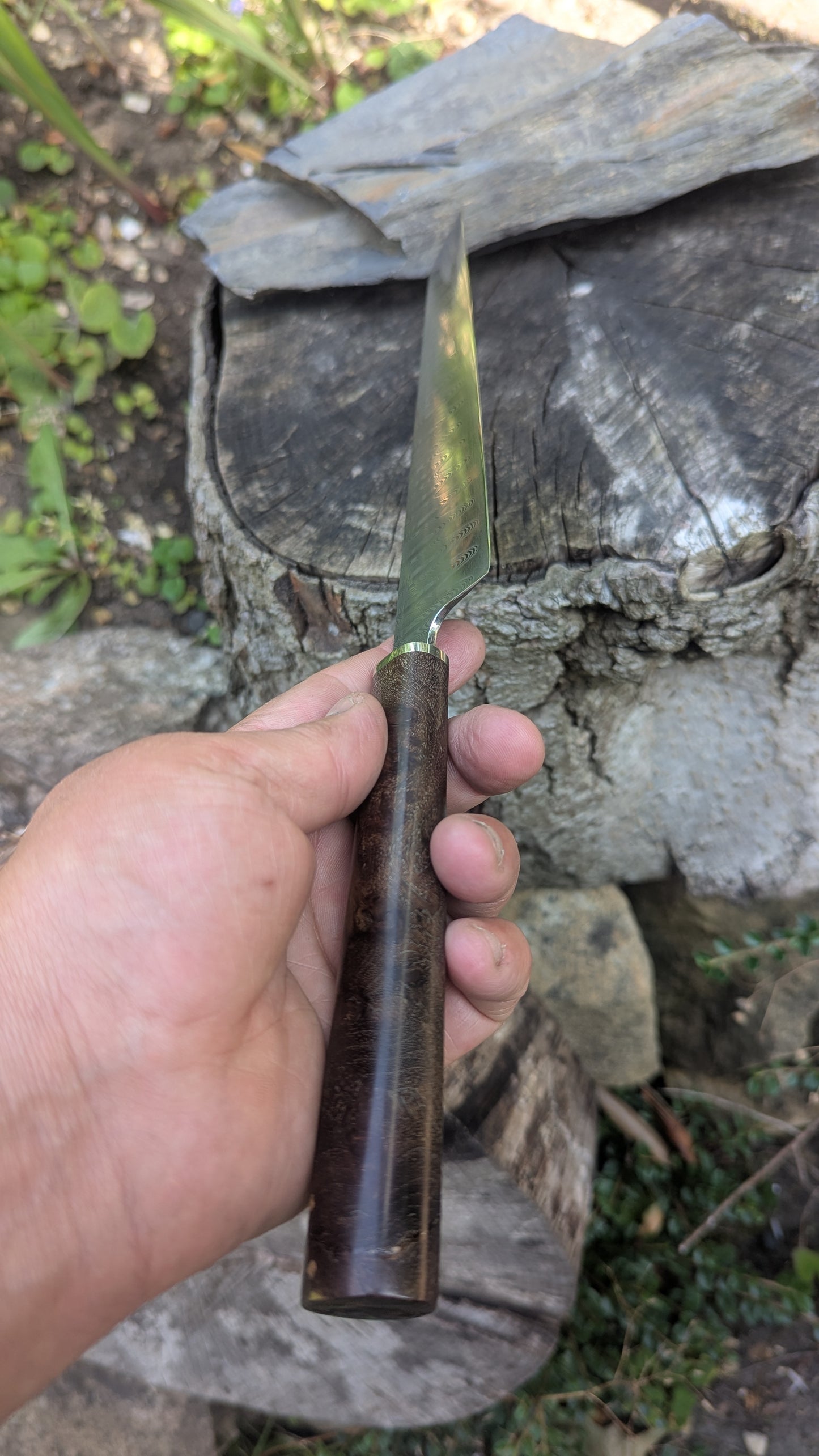 Hand made 8" stainless damascus san Mai. Burr Elm wood handle