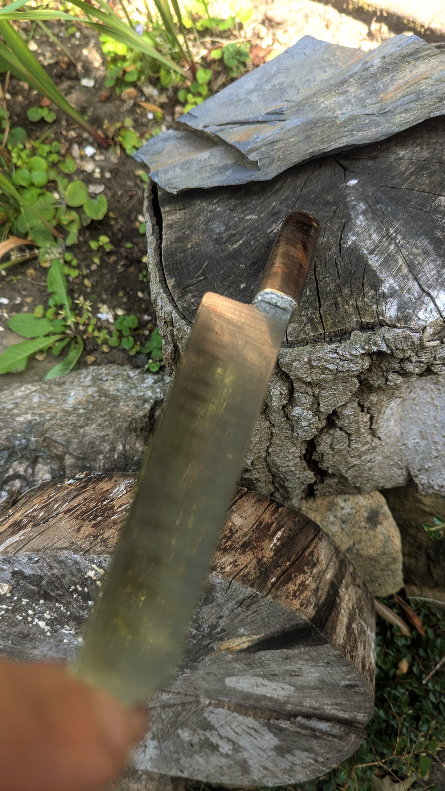 Hand made 8" stainless damascus san Mai. Burr Elm wood handle