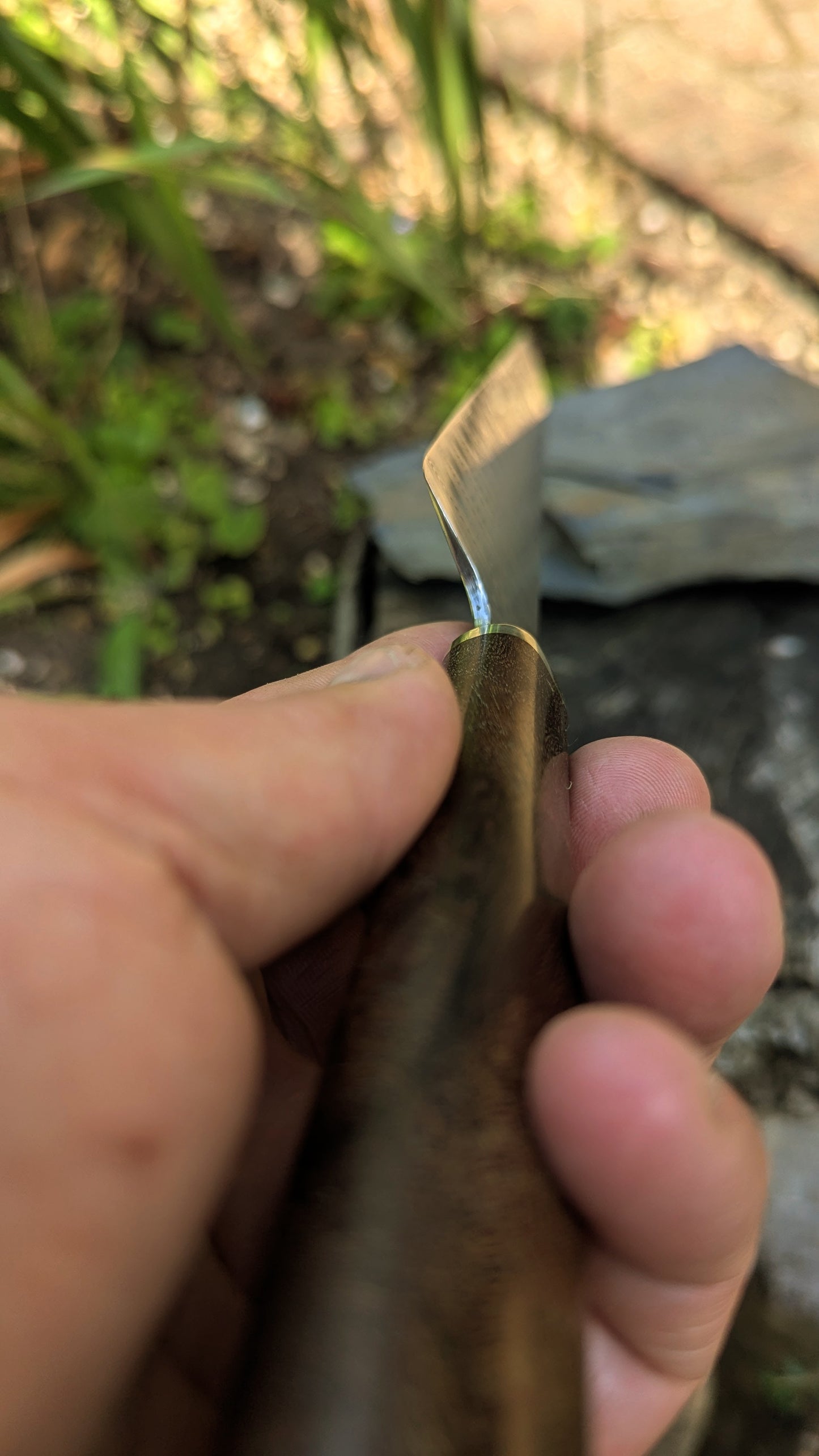 Hand made 8" stainless damascus san Mai. Burr Elm wood handle
