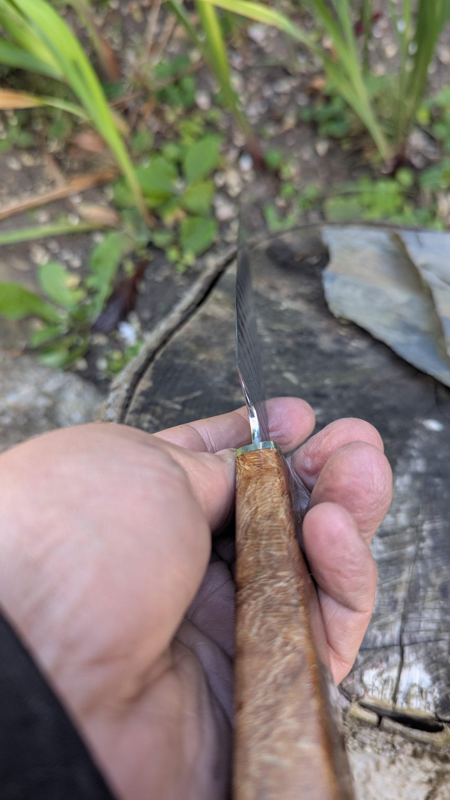 Hand made 8" stainless damascus san Mai. Lacewood burr handle