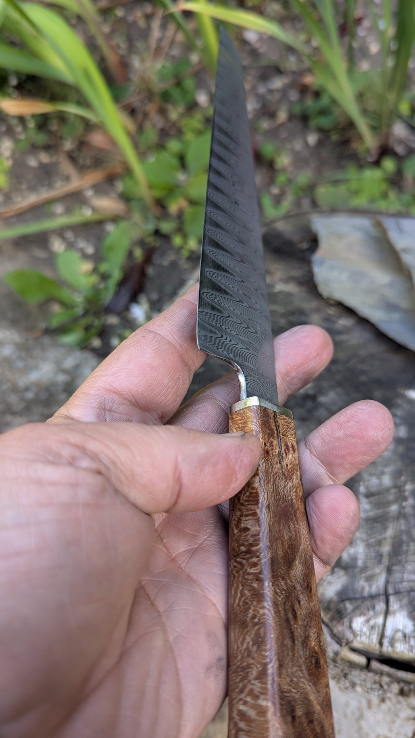 Hand made 8" stainless damascus san Mai. Lacewood burr handle