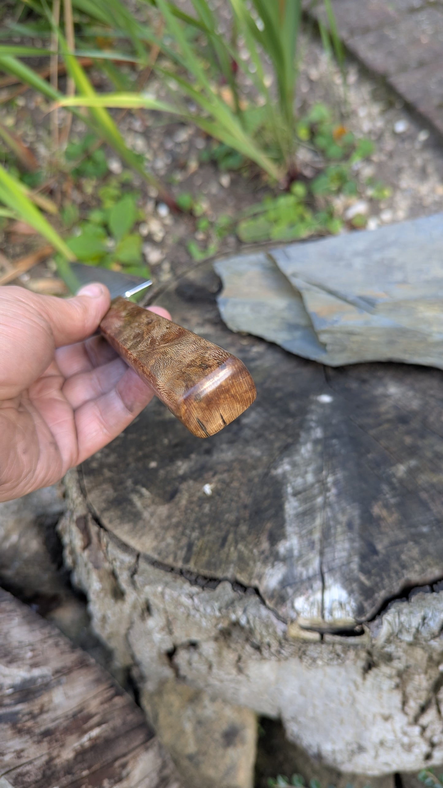 Hand made 8" stainless damascus san Mai. Lacewood burr handle