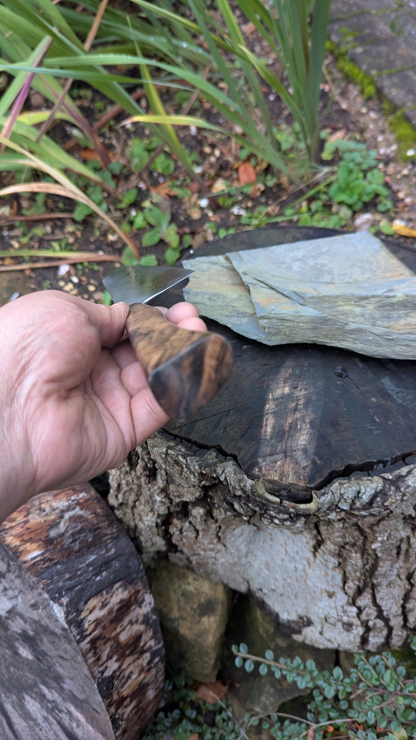 Hand made 8" Takefu Super Blue Stainless Clad San Mai. Walnut Handle