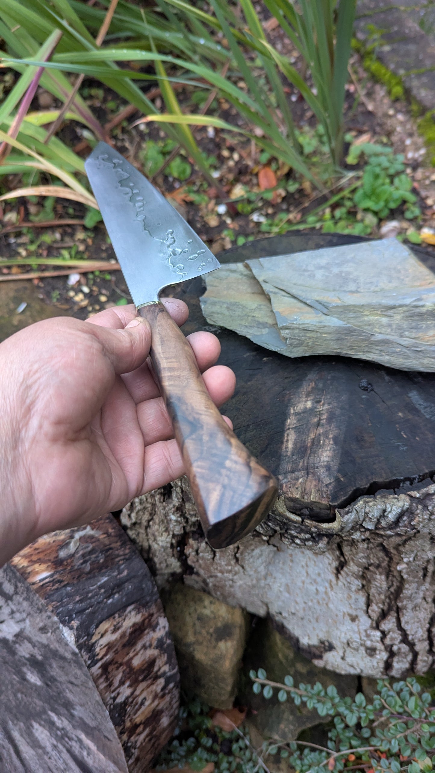 Hand made 8" Takefu Super Blue Stainless Clad San Mai. Walnut Handle