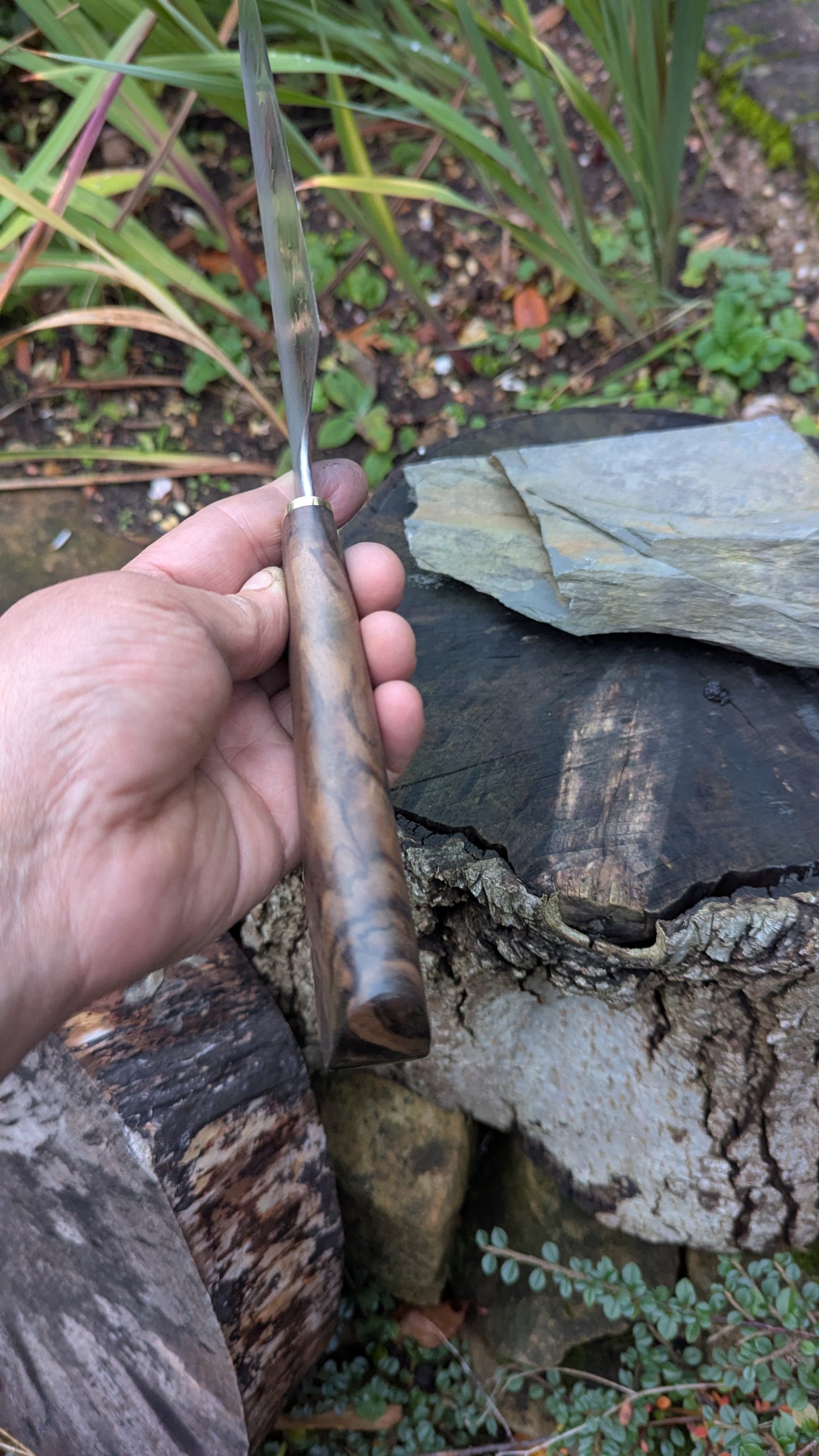 Hand made 8" Takefu Super Blue Stainless Clad San Mai. Walnut Handle