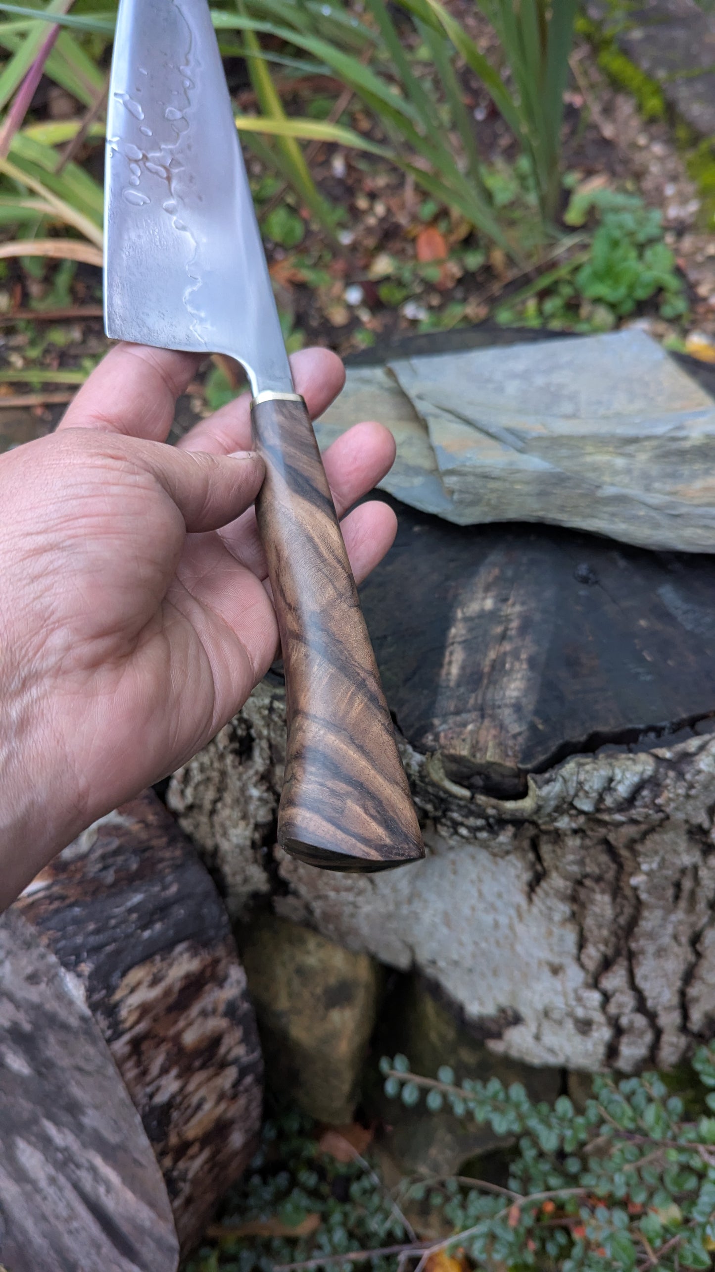 Hand made 8" Takefu Super Blue Stainless Clad San Mai. Walnut Handle