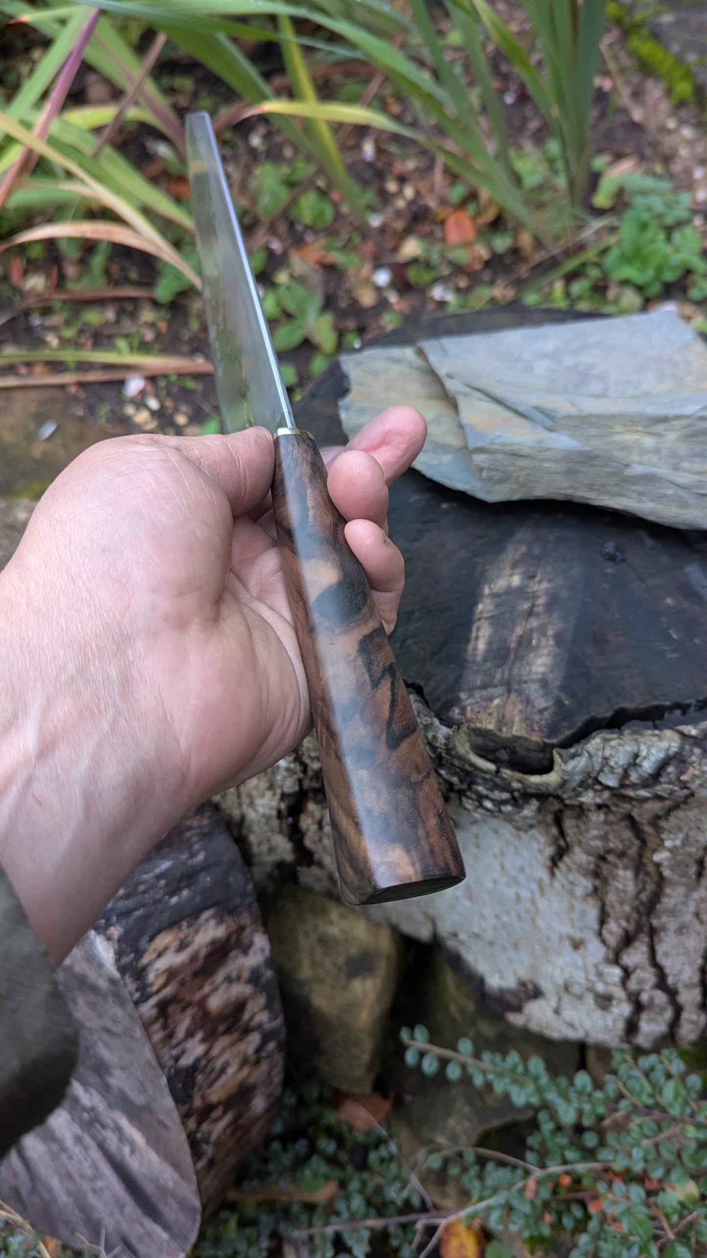 Hand made 8" Takefu Super Blue Stainless Clad San Mai. Walnut Handle