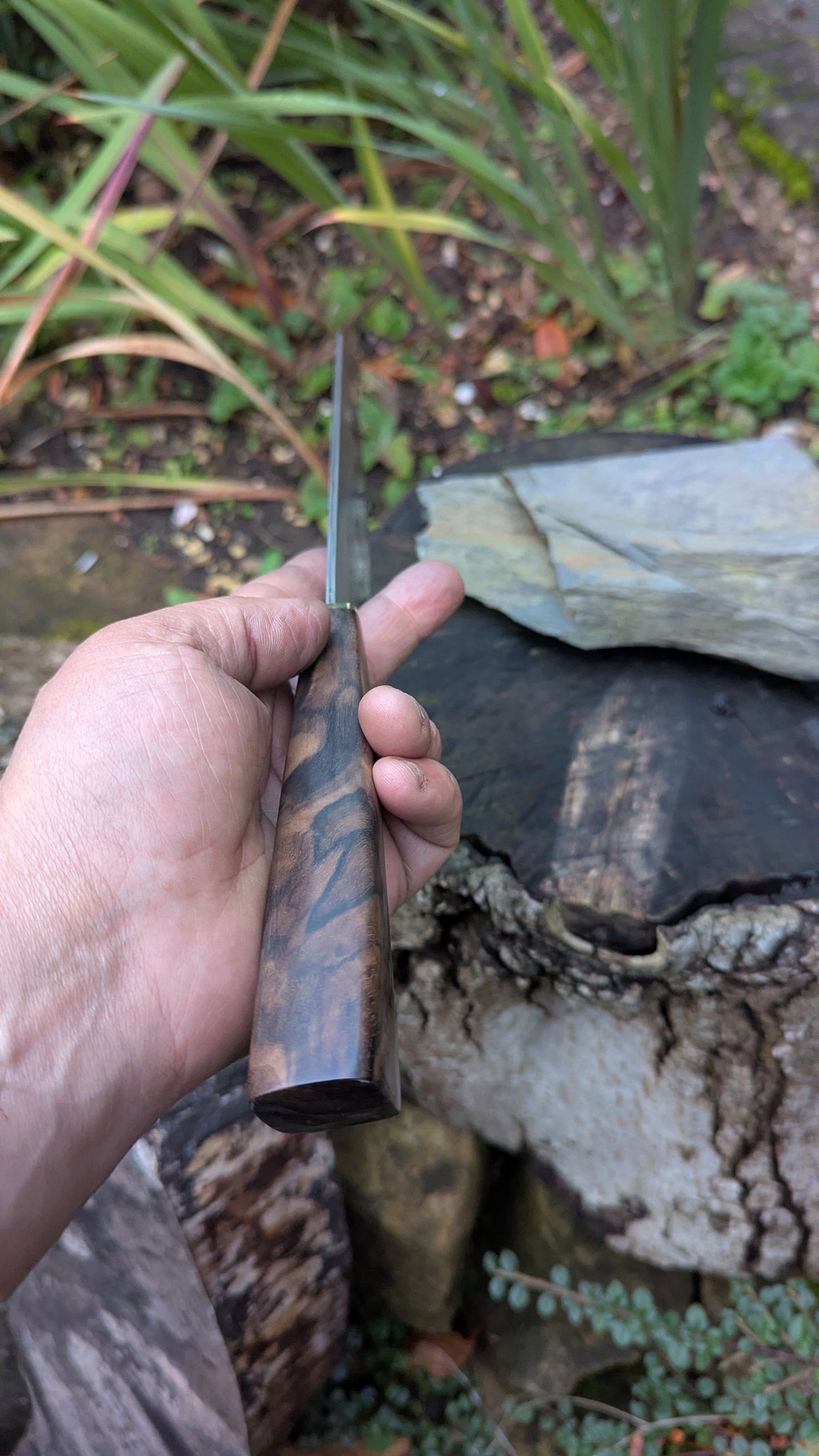 Hand made 8" Takefu Super Blue Stainless Clad San Mai. Walnut Handle