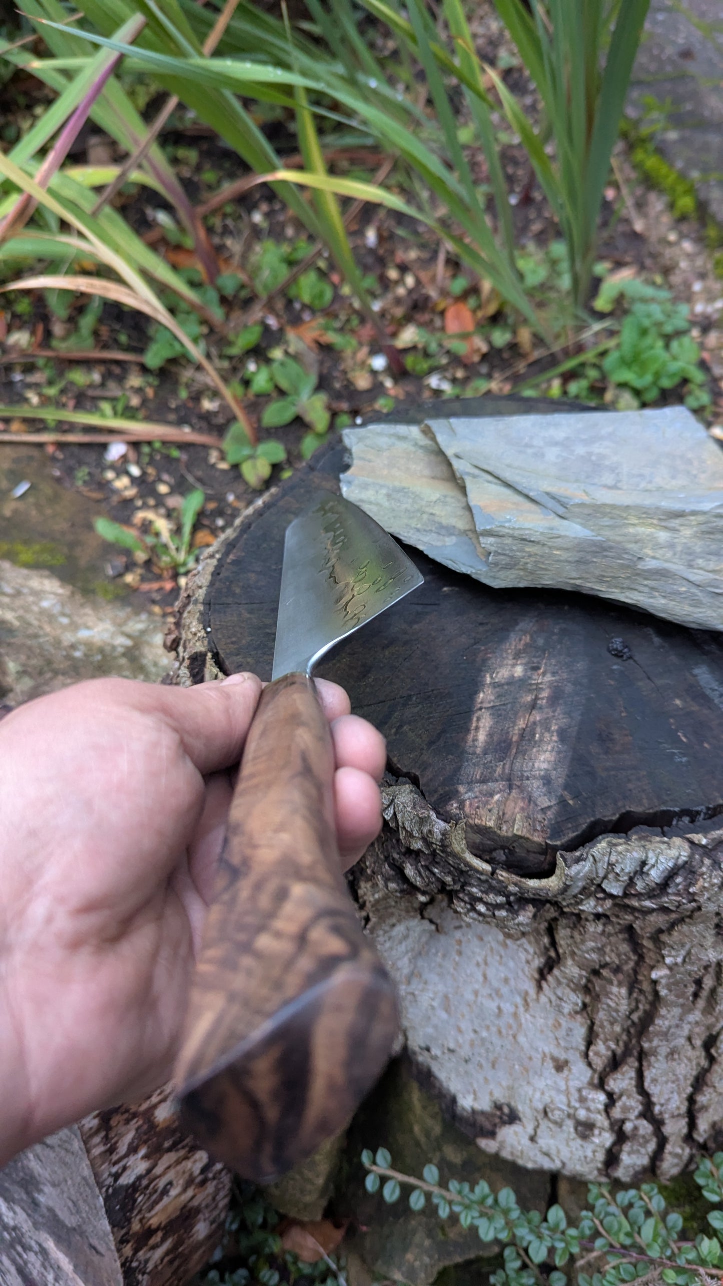 Hand made 8" Takefu Super Blue Stainless Clad San Mai. Walnut Handle