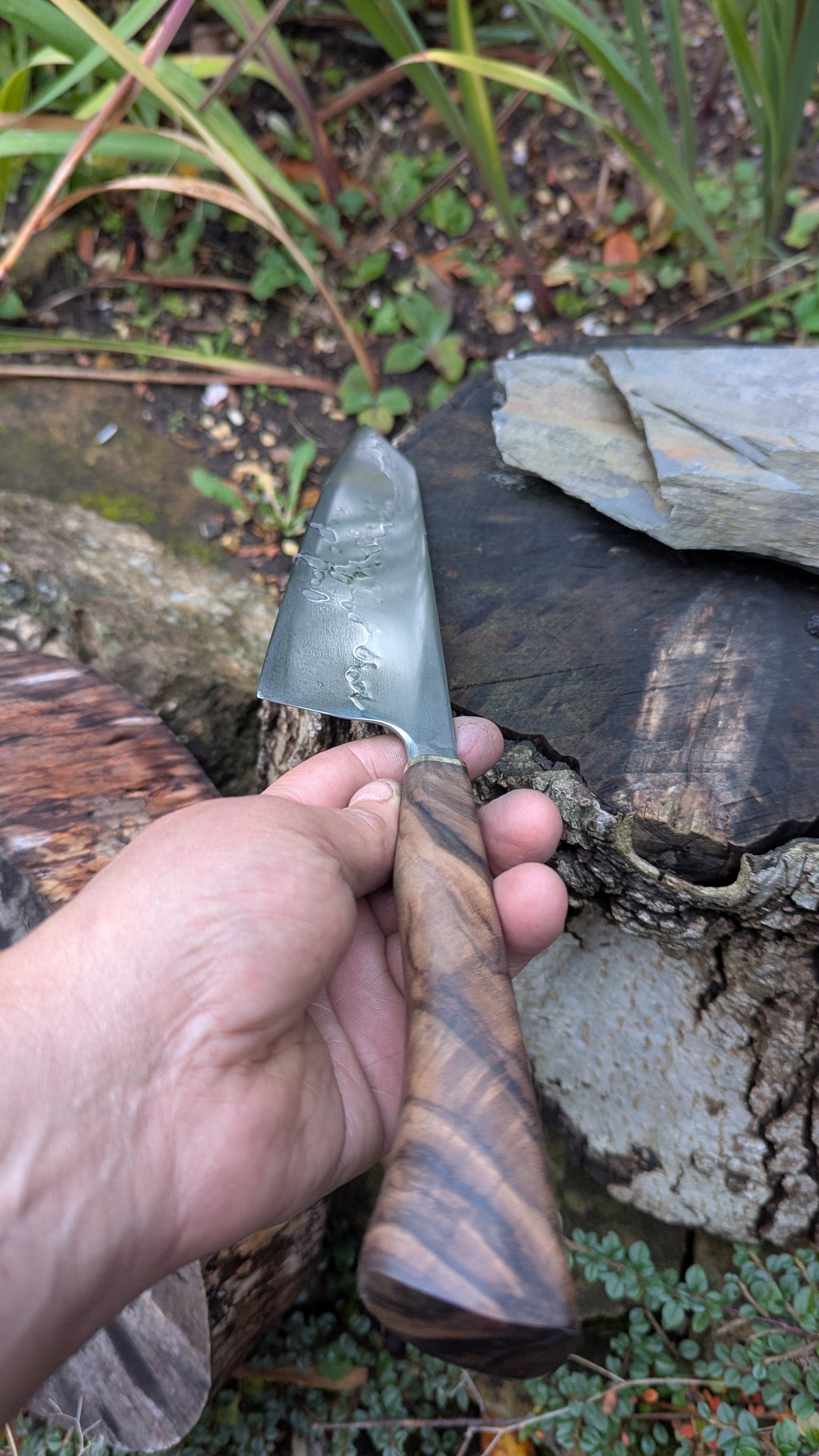 Hand made 8" Takefu Super Blue Stainless Clad San Mai. Walnut Handle