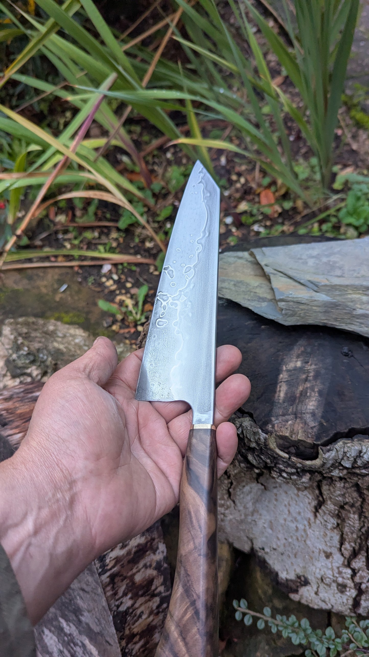 Hand made 8" Takefu Super Blue Stainless Clad San Mai. Walnut Handle
