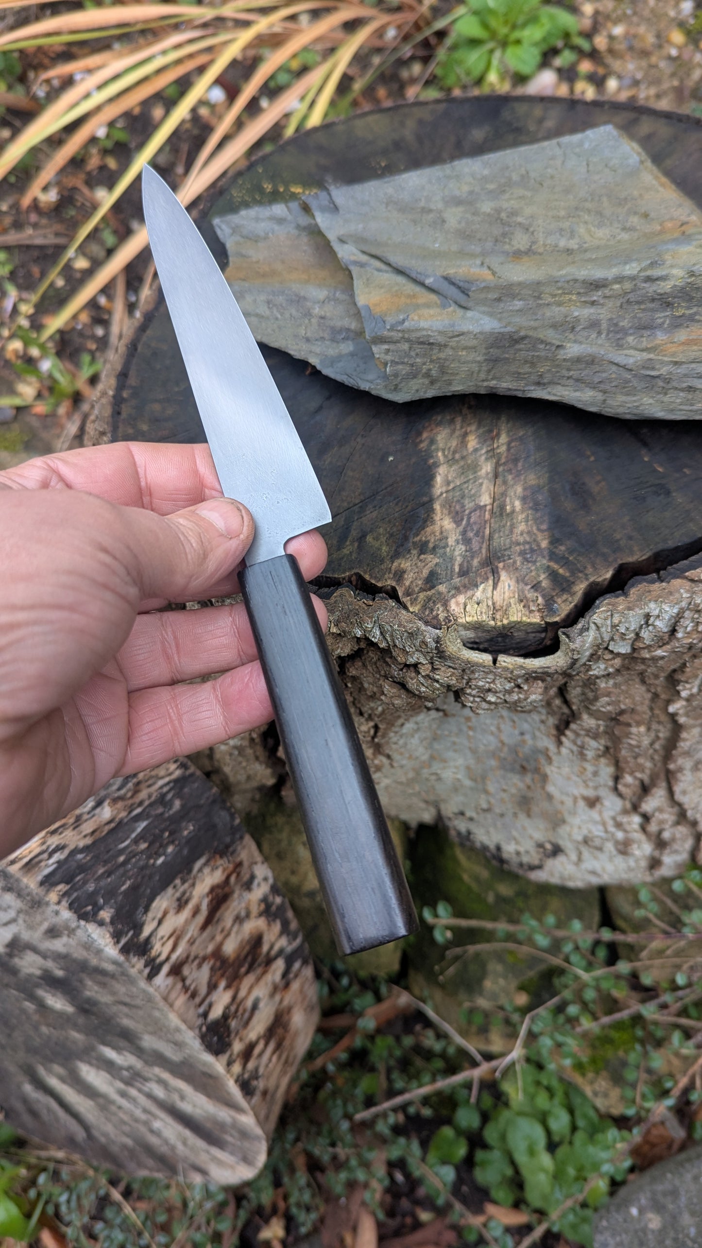 Handmade Pairing Knife, ApexUltra steel and 5600 Years Old Bog Oak Handle