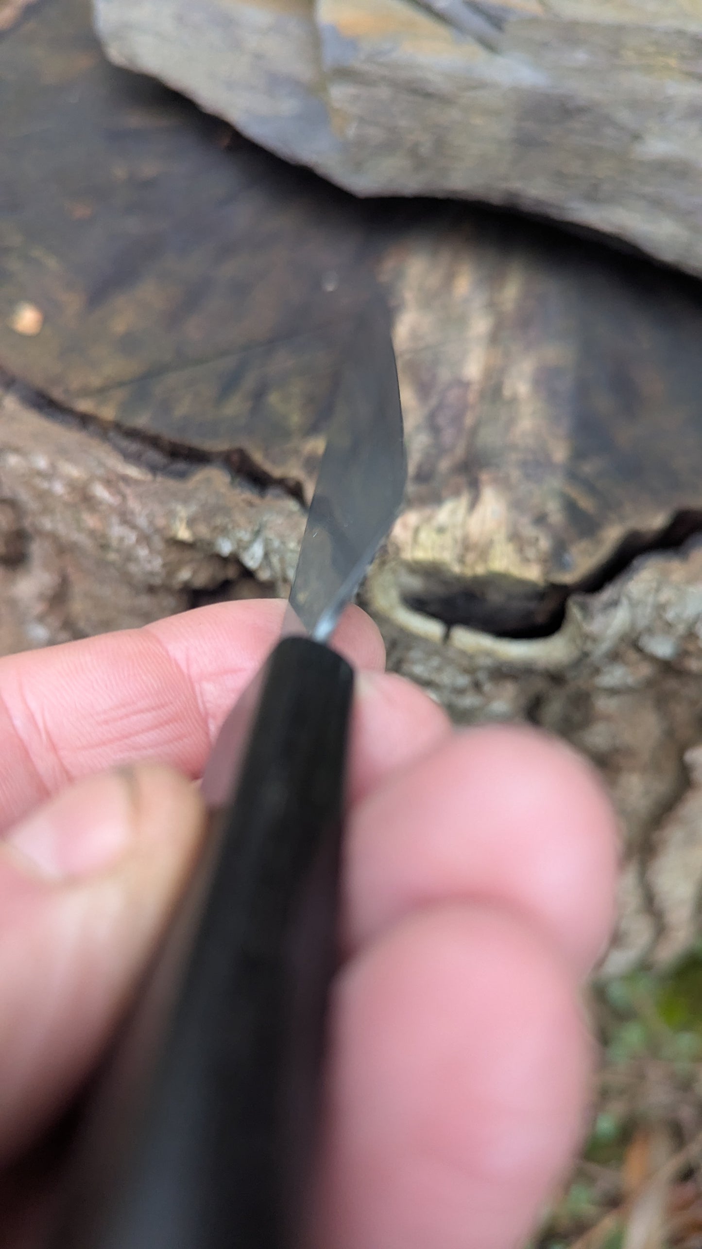 Handmade Pairing Knife, ApexUltra steel and 5600 Years Old Bog Oak Handle