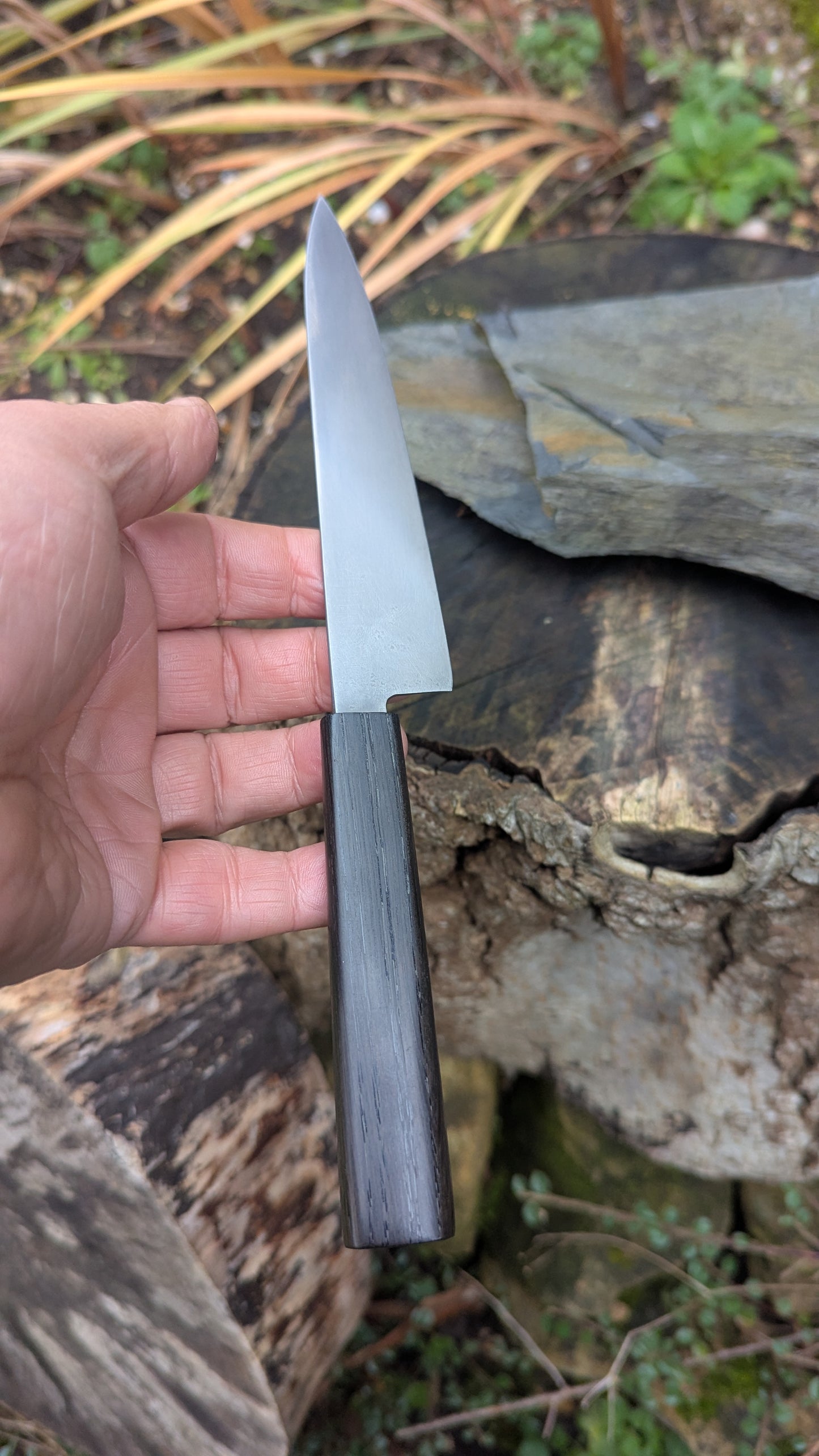 Handmade Pairing Knife, ApexUltra steel and 5600 Years Old Bog Oak Handle
