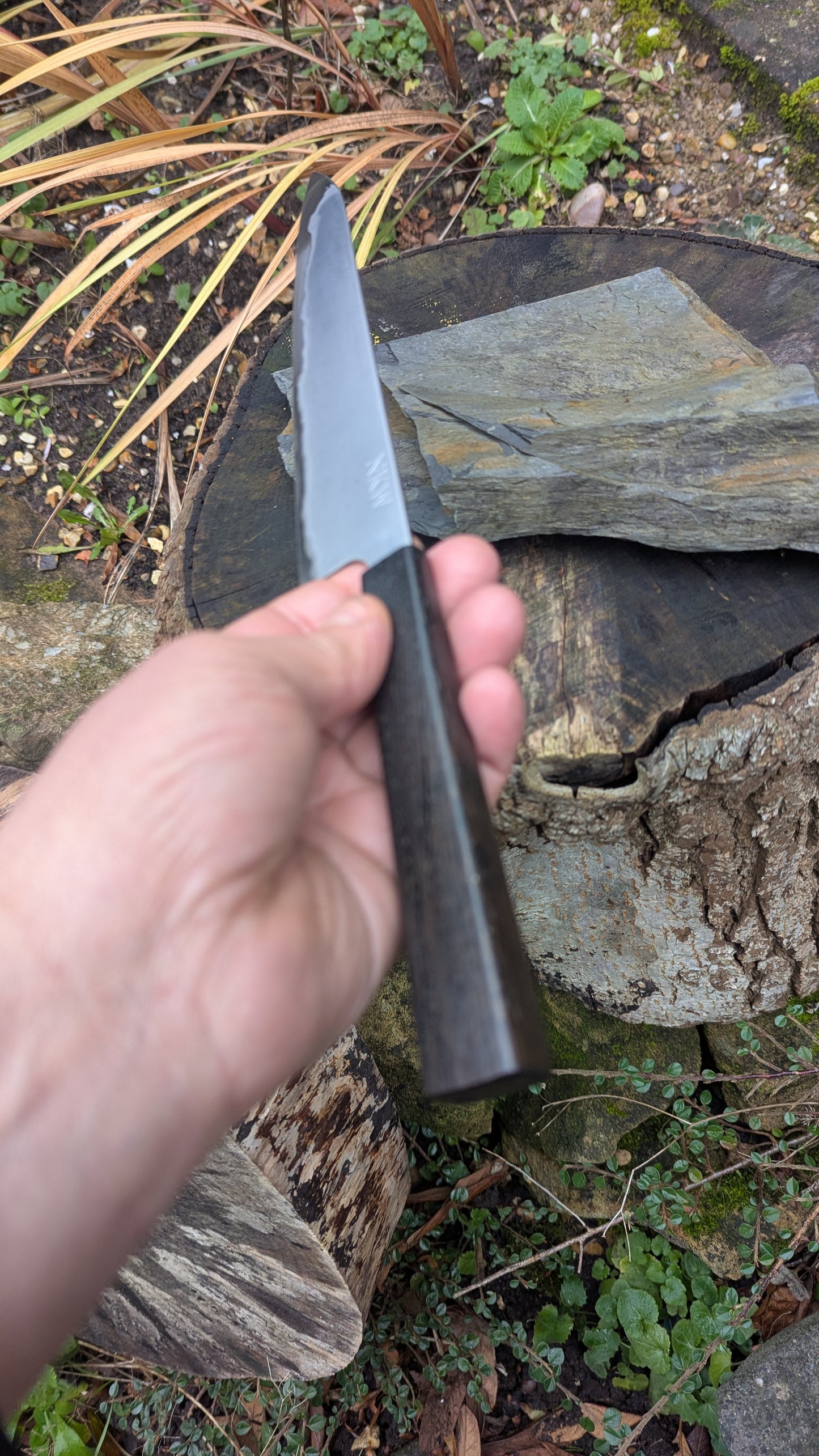 Hand Made 7" Takefu Super Blue Stainless Clad San Mai. 5600 years old Bog Oak handle