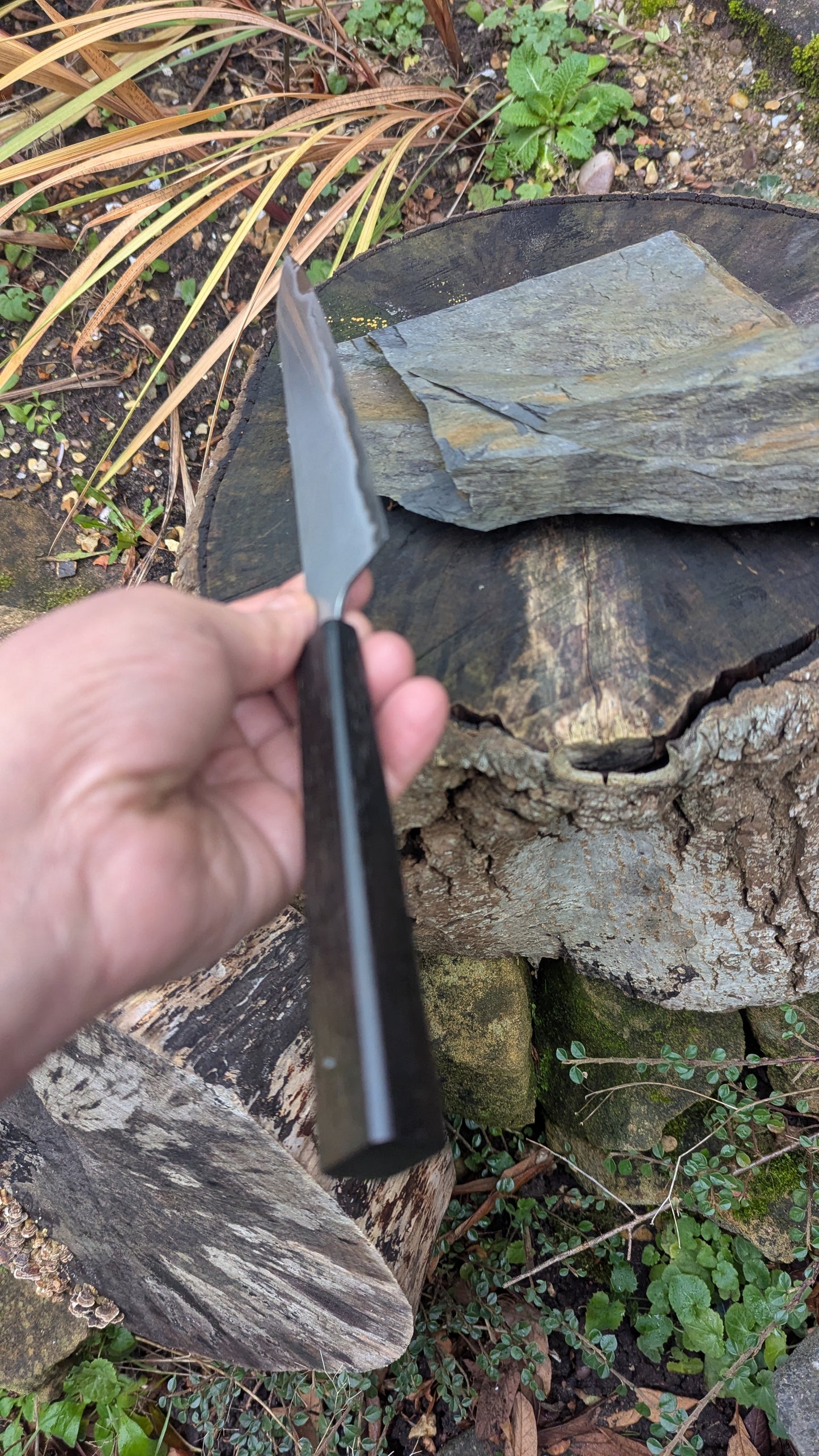 Hand Made 7" Takefu Super Blue Stainless Clad San Mai. 5600 years old Bog Oak handle