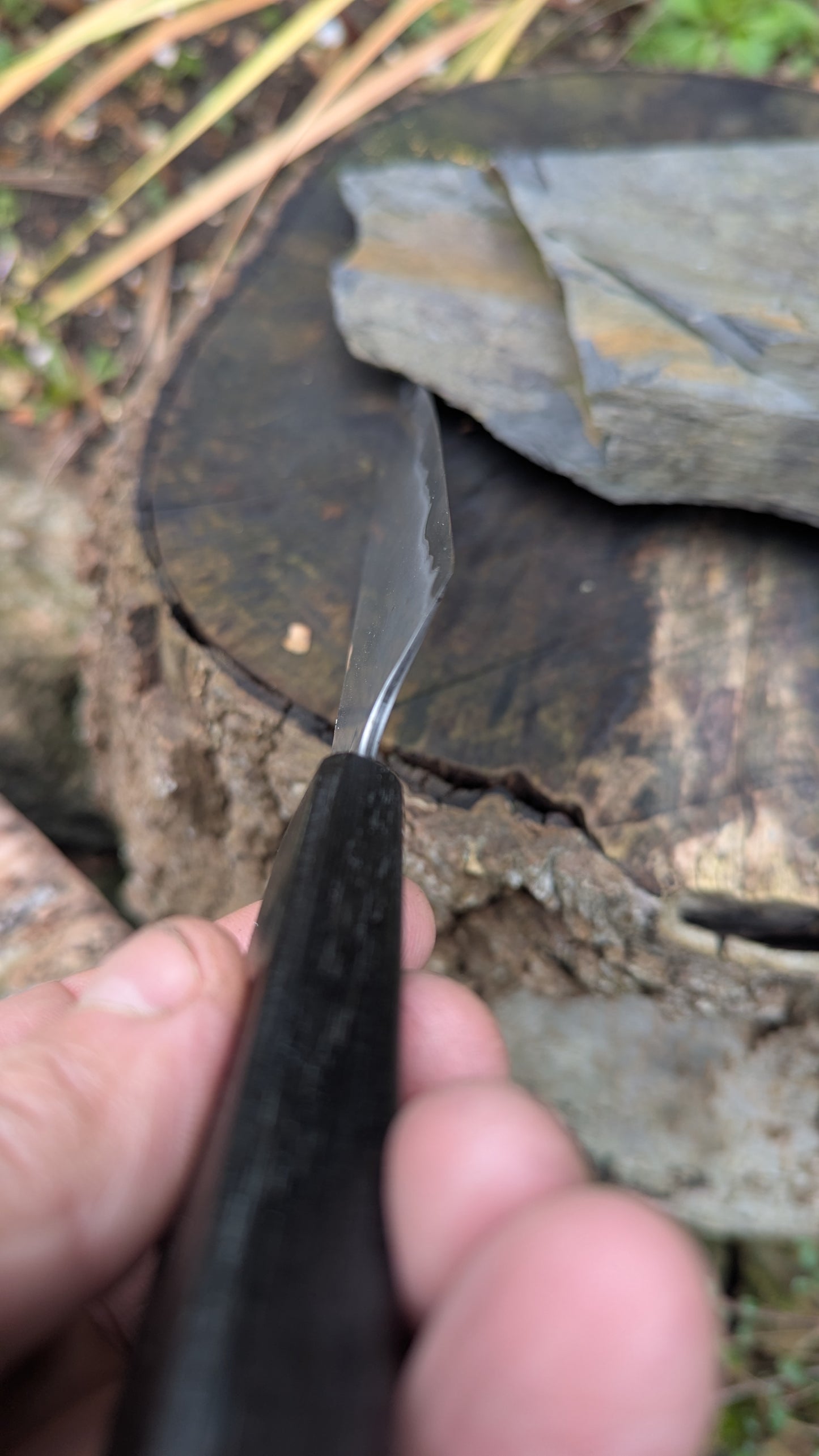 Hand Made 7" Takefu Super Blue Stainless Clad San Mai. 5600 years old Bog Oak handle