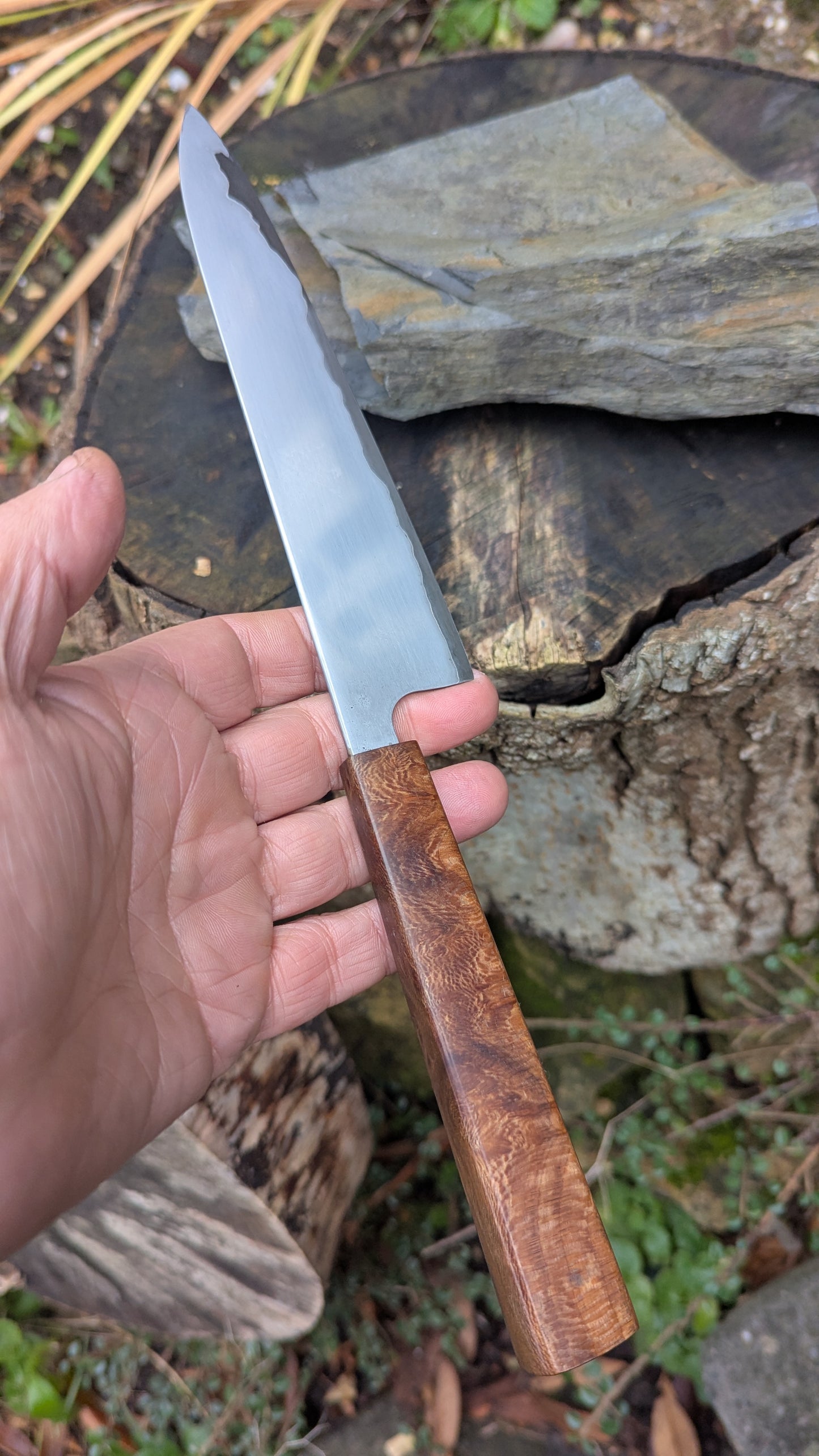 Hand made 6" Takefu super blue stainless clad San Mai. Lacewood burl handle