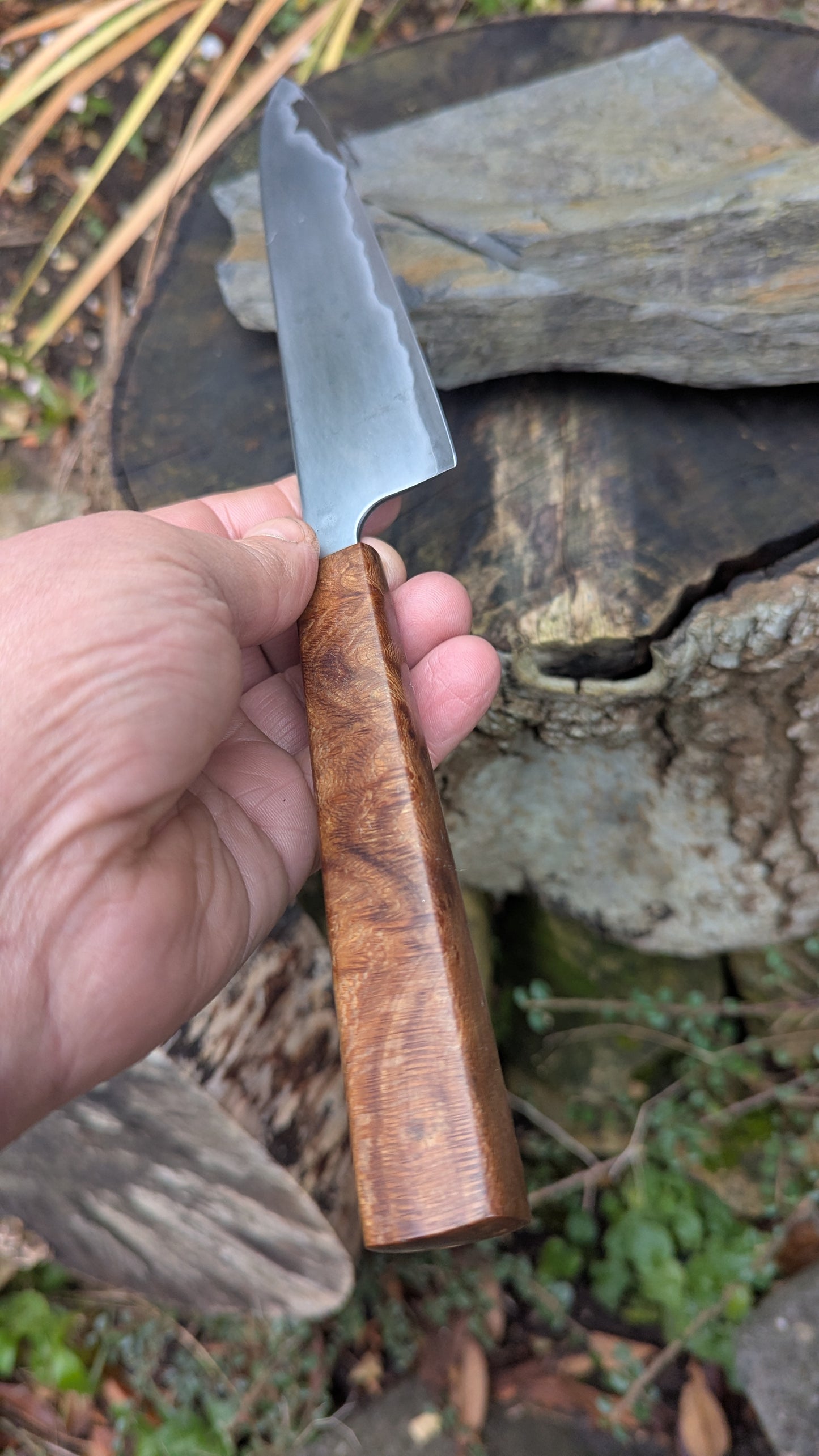 Hand made 6" Takefu super blue stainless clad San Mai. Lacewood burl handle