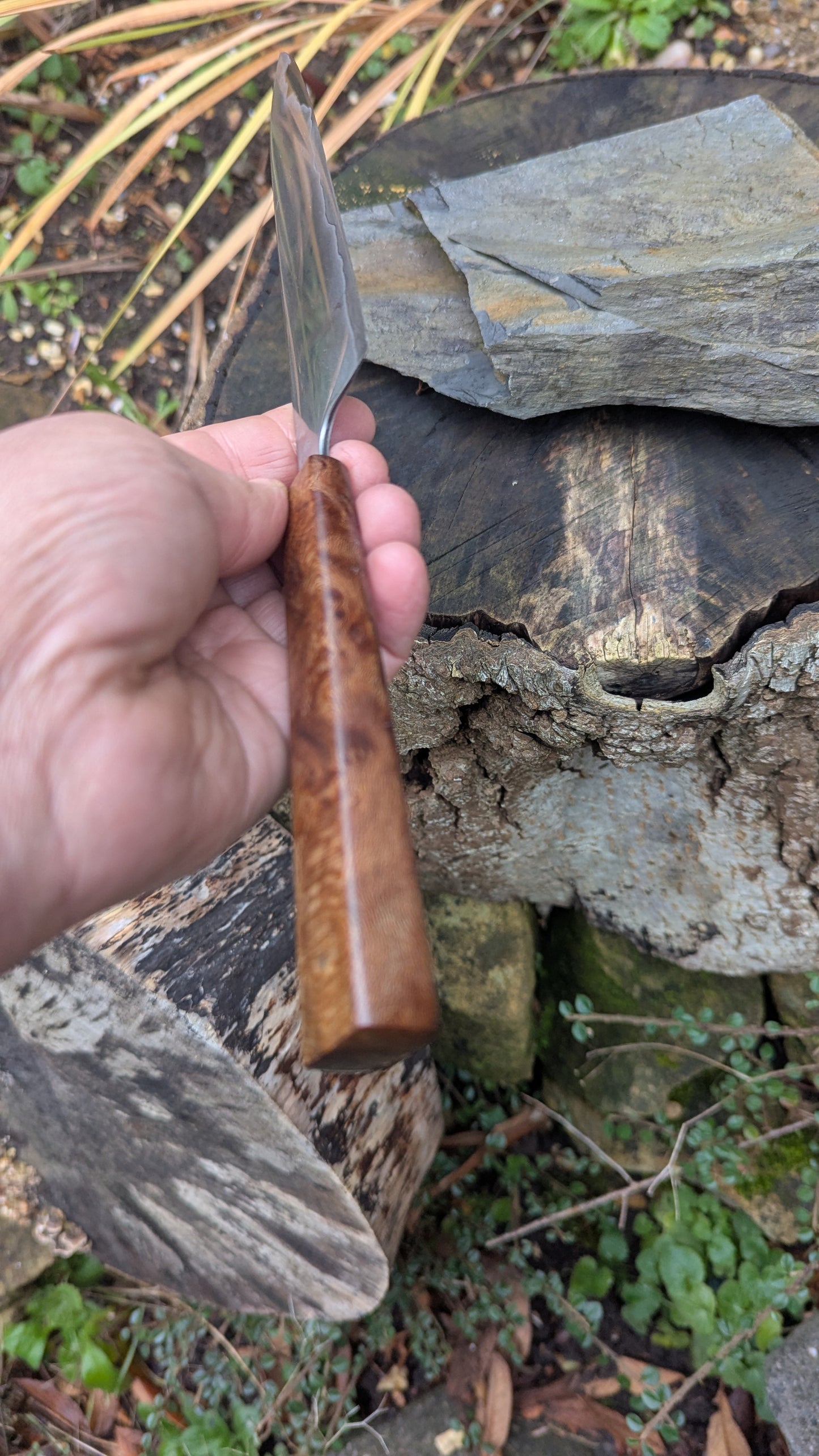 Hand made 6" Takefu super blue stainless clad San Mai. Lacewood burl handle