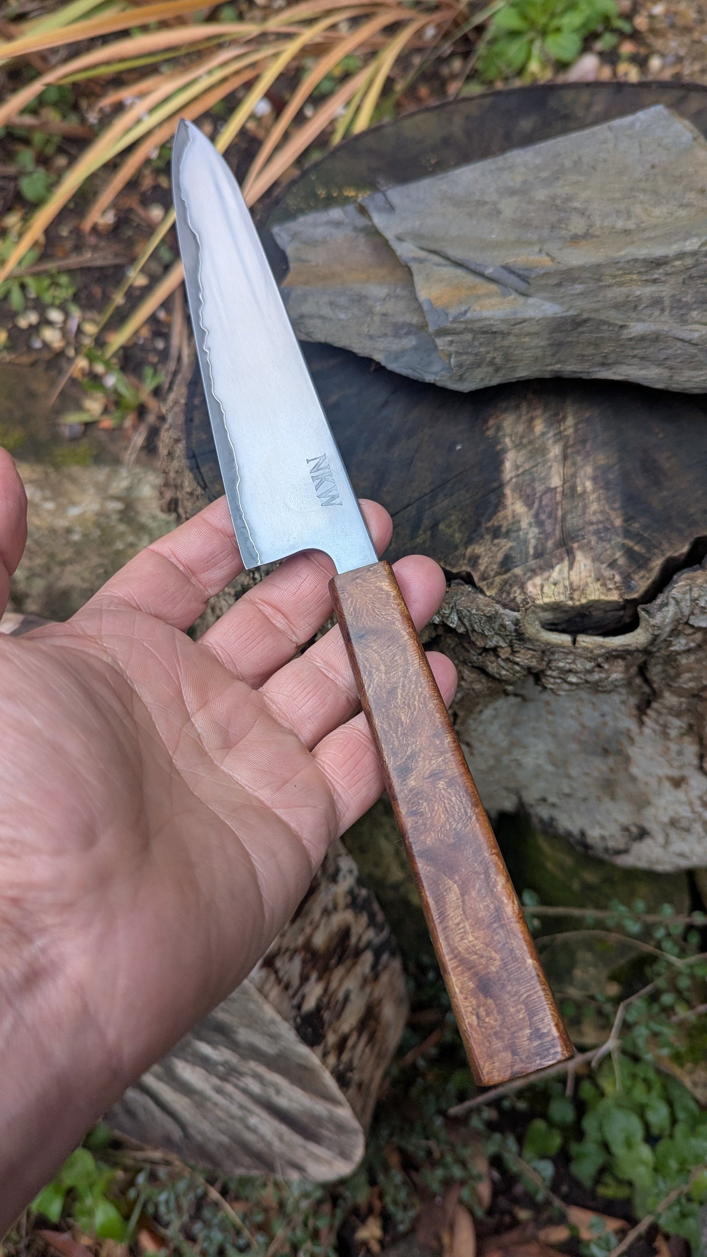 Hand made 6" Takefu super blue stainless clad San Mai. Lacewood burl handle