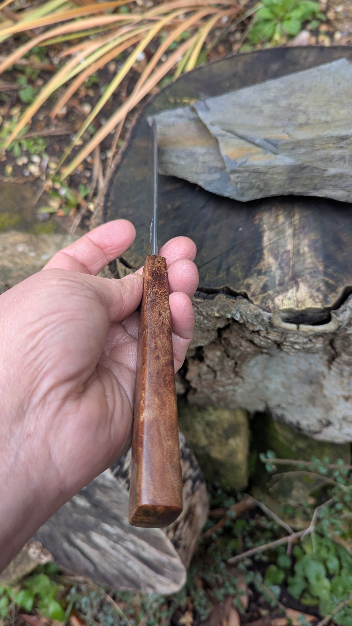 Hand made 6" Takefu super blue stainless clad San Mai. Lacewood burl handle