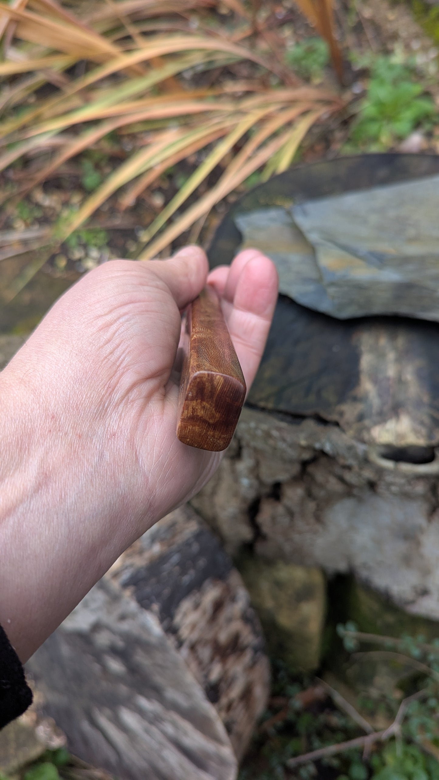 Hand made 6" Takefu super blue stainless clad San Mai. Lacewood burl handle