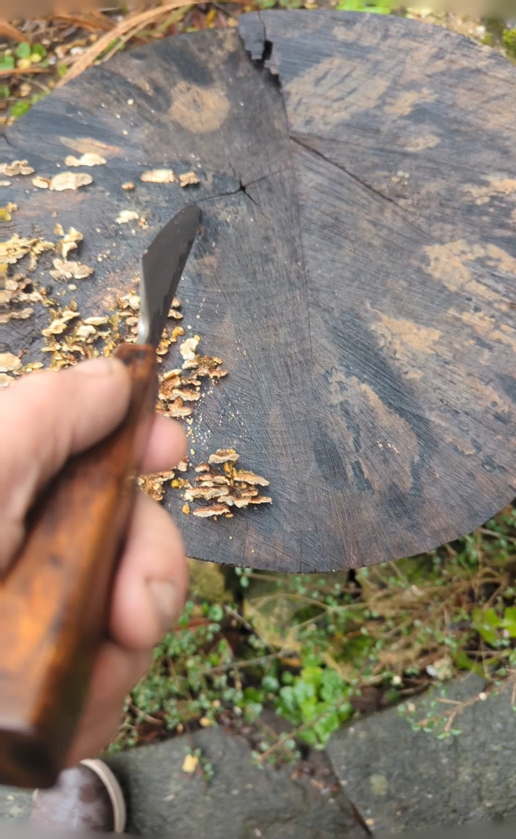 Kiritsuke 180mm Takefu VG10 Suminagashi knife. Desert Ironwood Handle