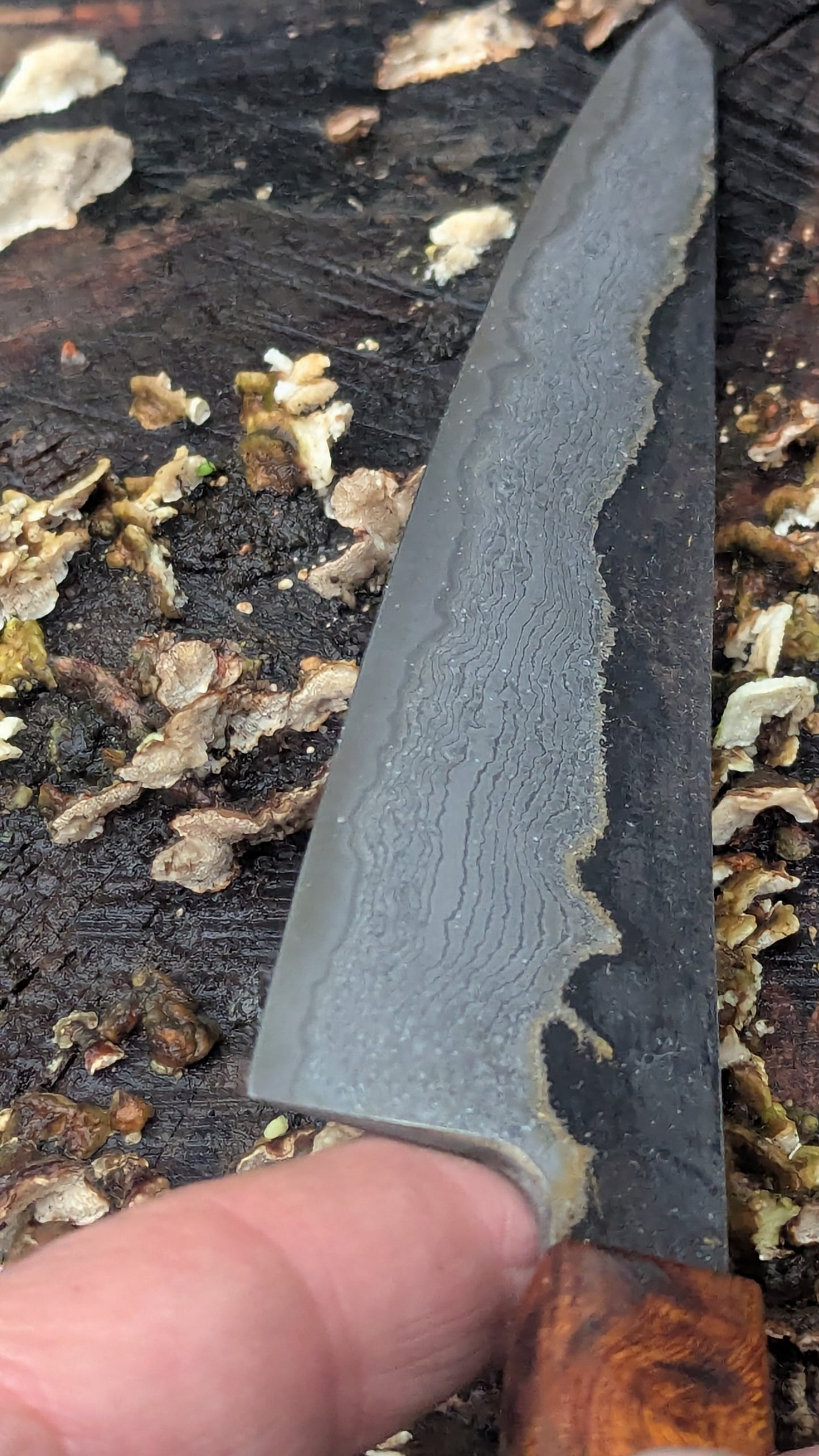 Kiritsuke 180mm Takefu VG10 Suminagashi knife. Desert Ironwood Handle