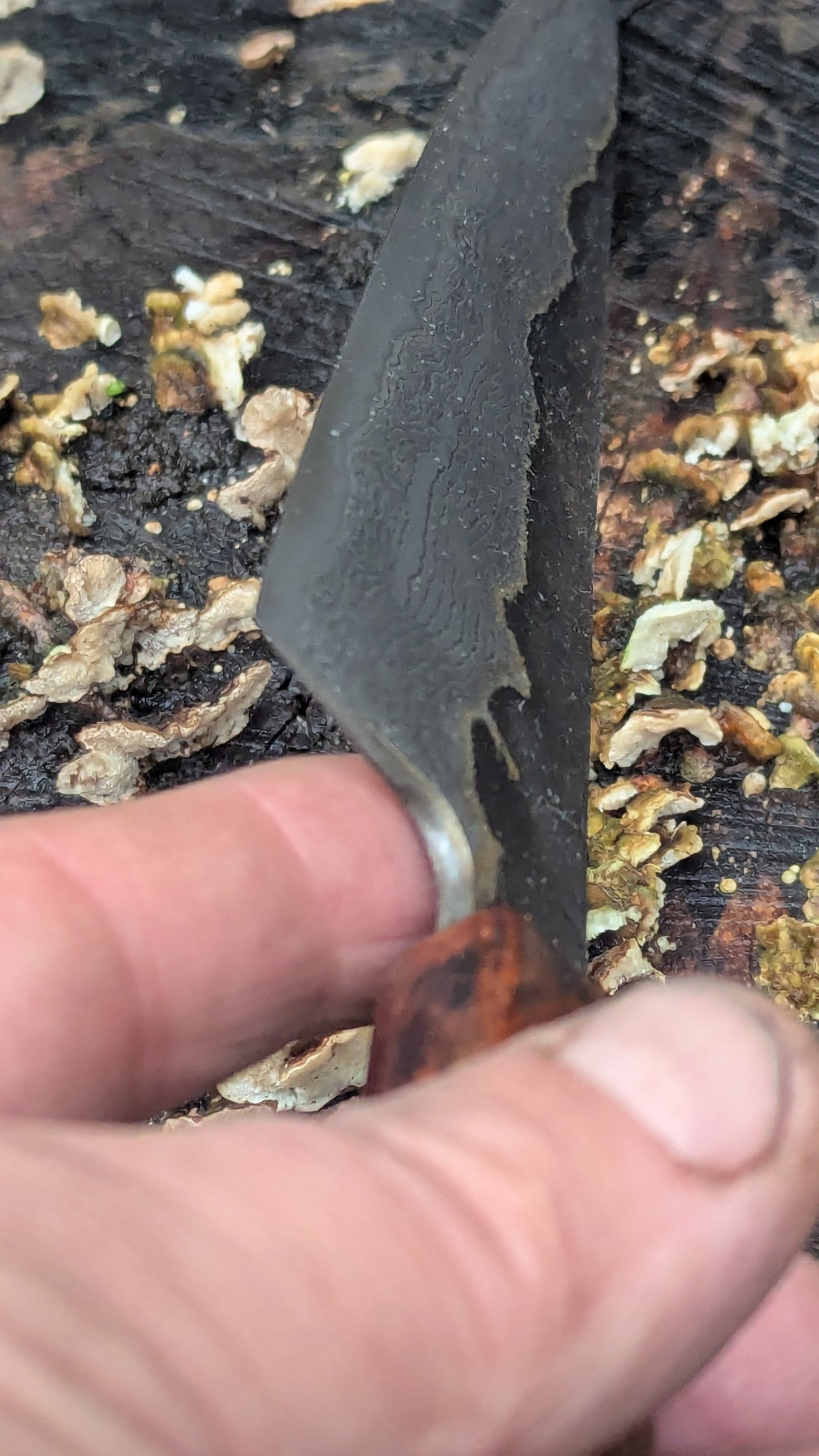 Kiritsuke 180mm Takefu VG10 Suminagashi knife. Desert Ironwood Handle