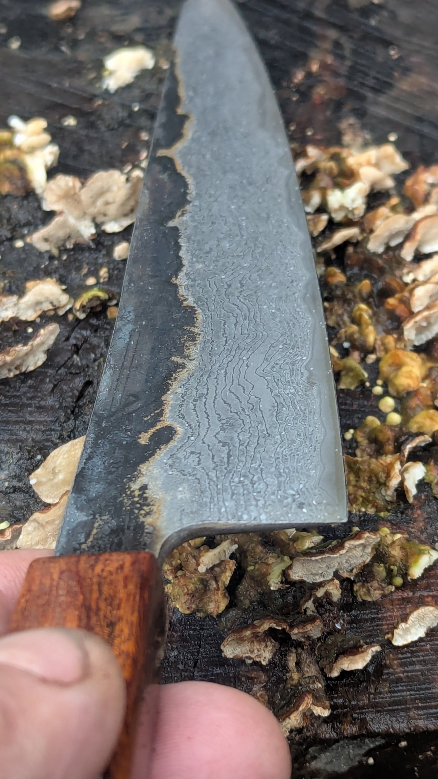 Kiritsuke 180mm Takefu VG10 Suminagashi knife. Desert Ironwood Handle