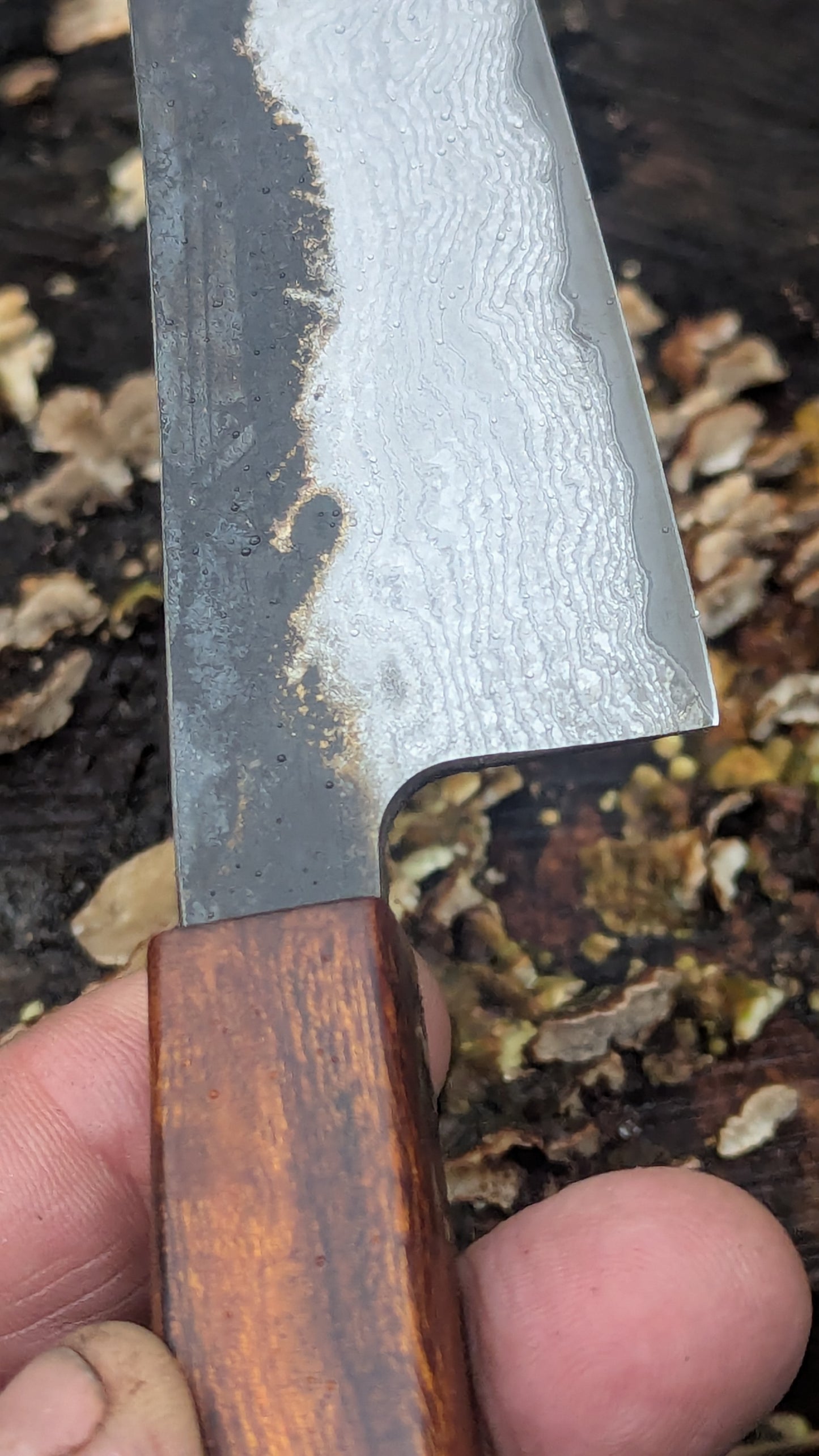 Kiritsuke 180mm Takefu VG10 Suminagashi knife. Desert Ironwood Handle