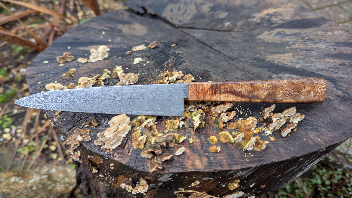 Hand made Pairing Knife Stainless Damascus - Damasteel® DS93X - Yggdrasil . Lace Wood Burl handle
