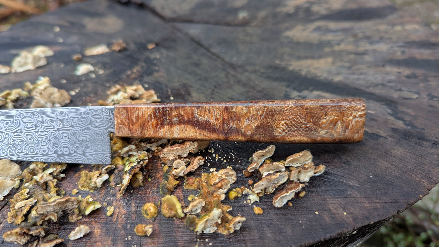 Hand made Pairing Knife Stainless Damascus - Damasteel® DS93X - Yggdrasil . Lace Wood Burl handle