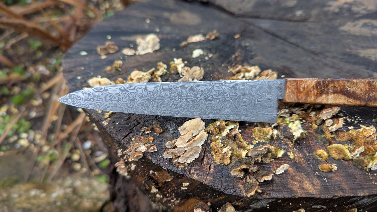Hand made Pairing Knife Stainless Damascus - Damasteel® DS93X - Yggdrasil . Lace Wood Burl handle