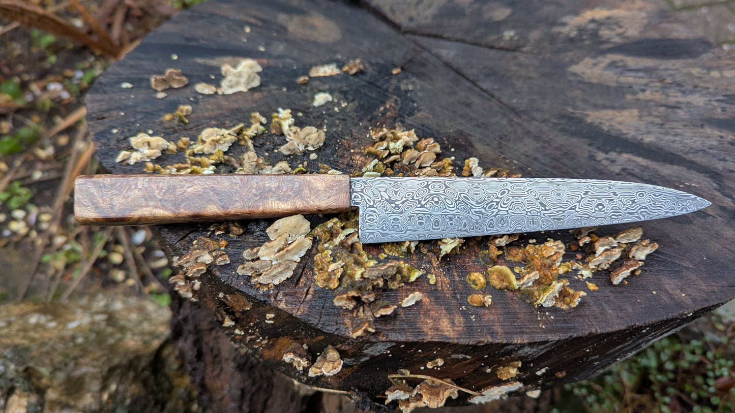 Hand made Pairing Knife Stainless Damascus - Damasteel® DS93X - Yggdrasil . Lace Wood Burl handle