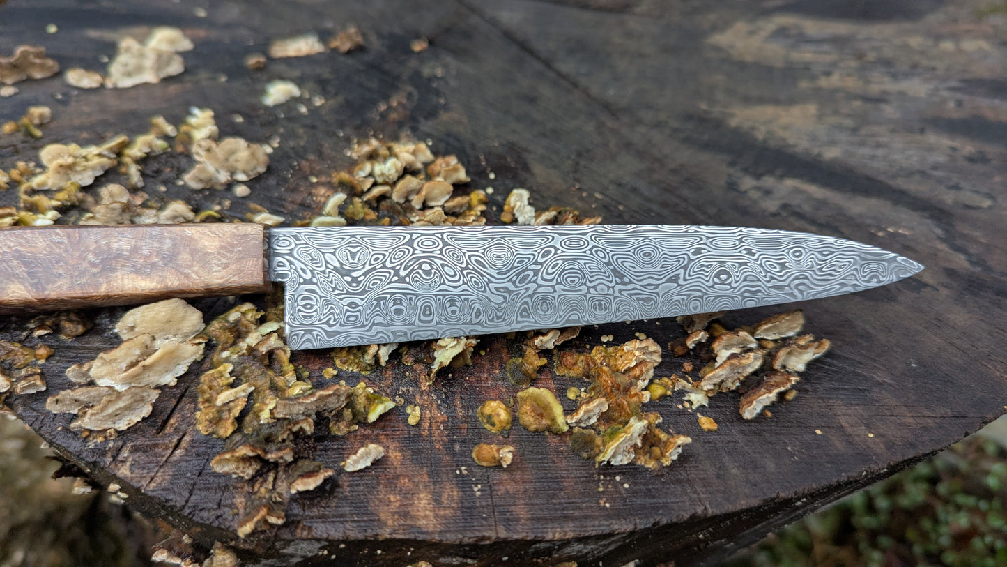 Hand made Pairing Knife Stainless Damascus - Damasteel® DS93X - Yggdrasil . Lace Wood Burl handle