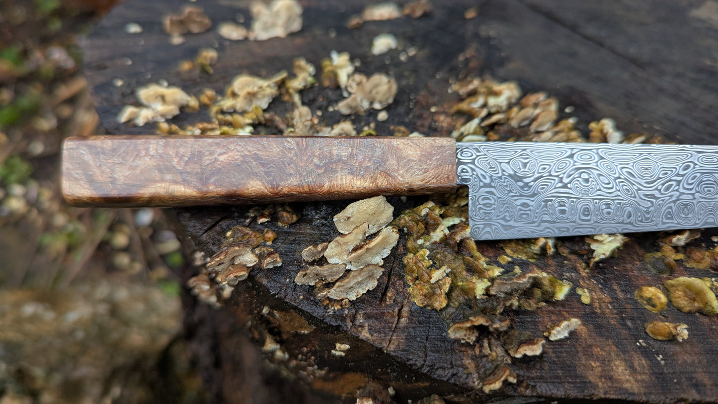 Hand made Pairing Knife Stainless Damascus - Damasteel® DS93X - Yggdrasil . Lace Wood Burl handle