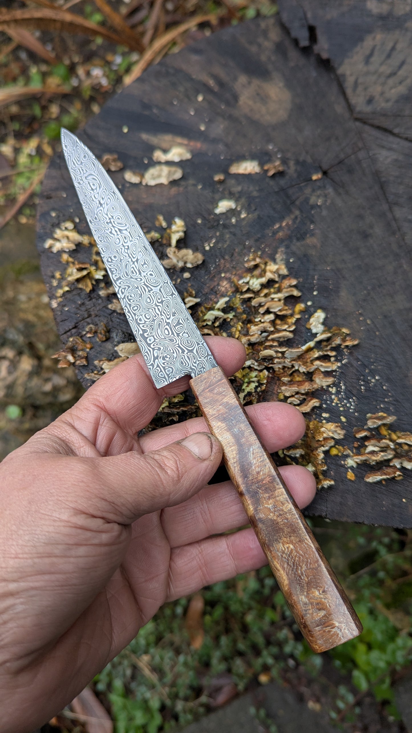 Hand made Pairing Knife Stainless Damascus - Damasteel® DS93X - Yggdrasil . Lace Wood Burl handle