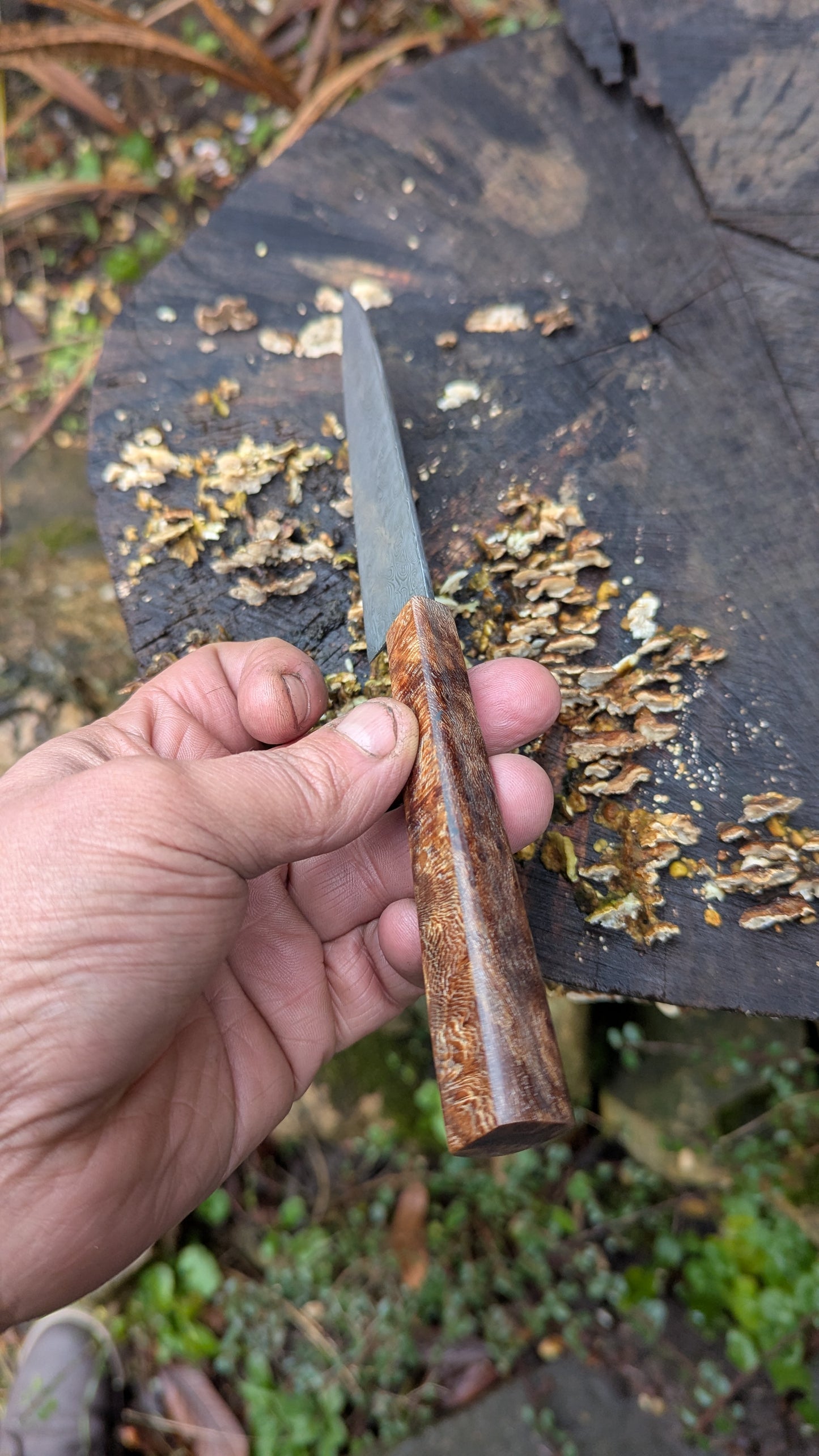 Hand made Pairing Knife Stainless Damascus - Damasteel® DS93X - Yggdrasil . Lace Wood Burl handle