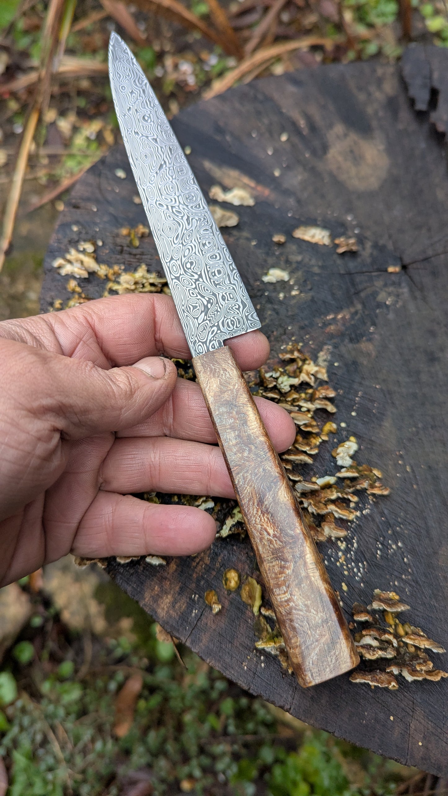 Hand made Pairing Knife Stainless Damascus - Damasteel® DS93X - Yggdrasil . Lace Wood Burl handle