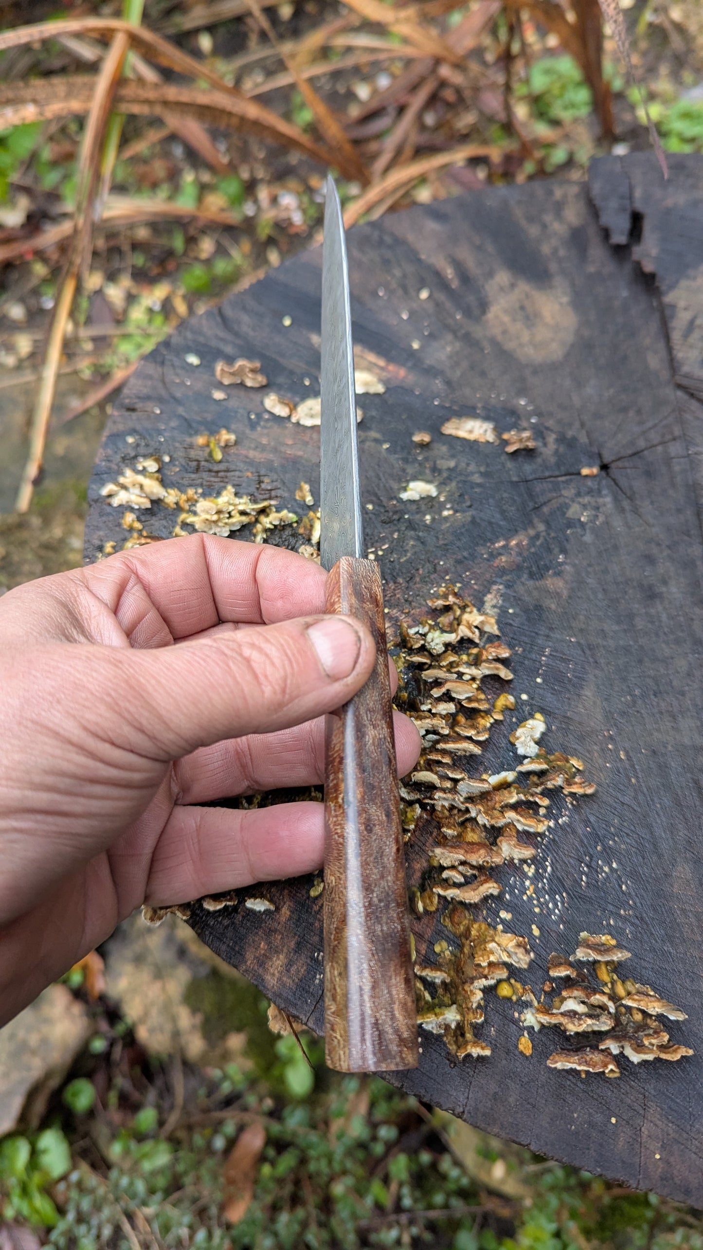 Hand made Pairing Knife Stainless Damascus - Damasteel® DS93X - Yggdrasil . Lace Wood Burl handle