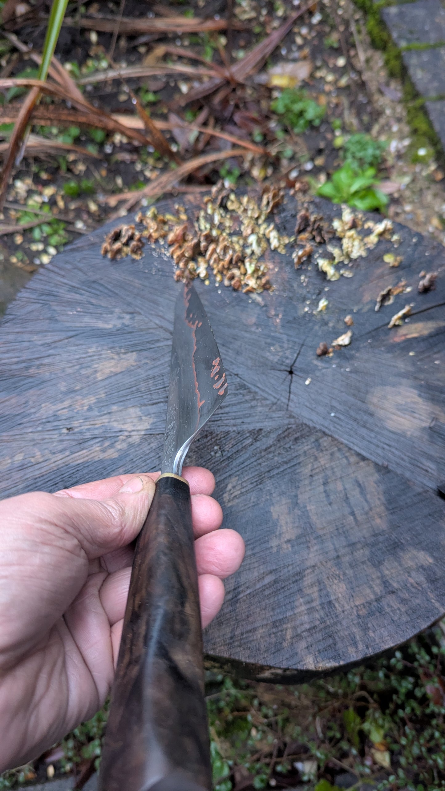 Hand Made 8" Takefu Cu-Mai : DPS V-Toku2 Core Stainless Steel Clad San Mai. Turkish Walnut handle
