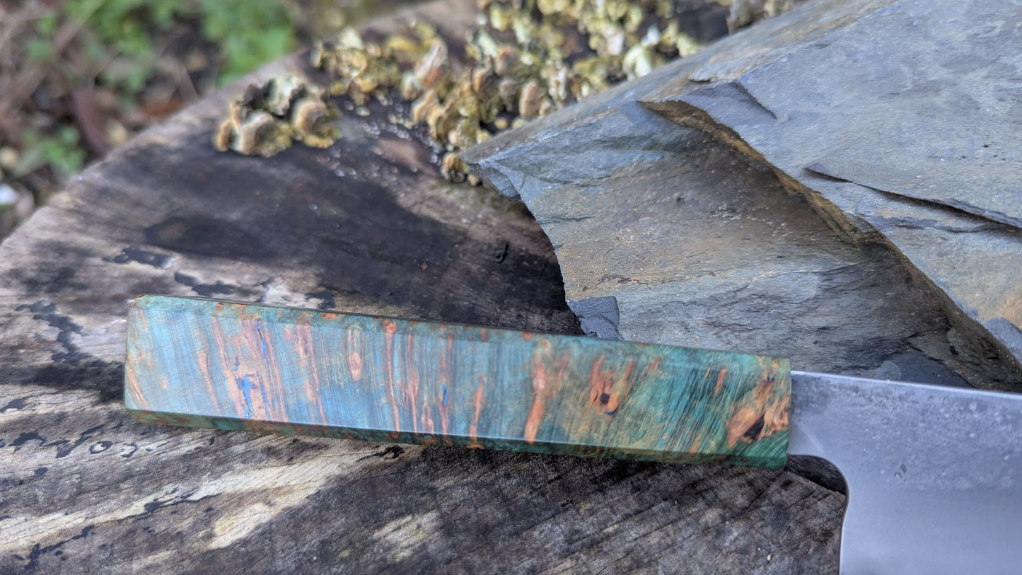 Kiritsuke 175mm. Takefu Super Blue Stainless Clad San Mai. Field Maple Burl Handle