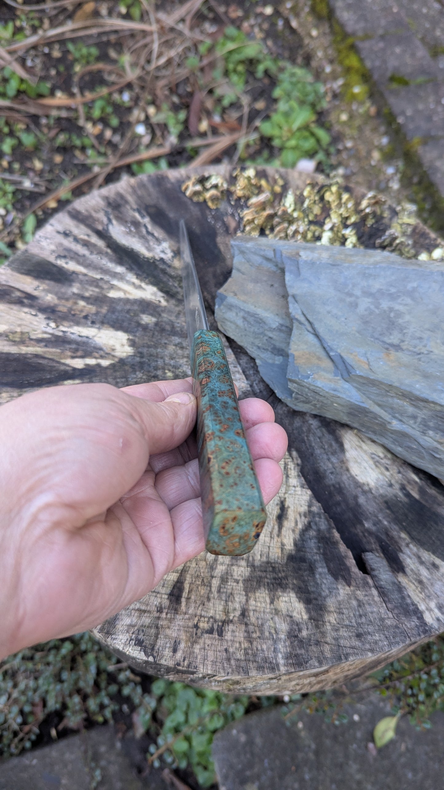 Kiritsuke 175mm. Takefu Super Blue Stainless Clad San Mai. Field Maple Burl Handle