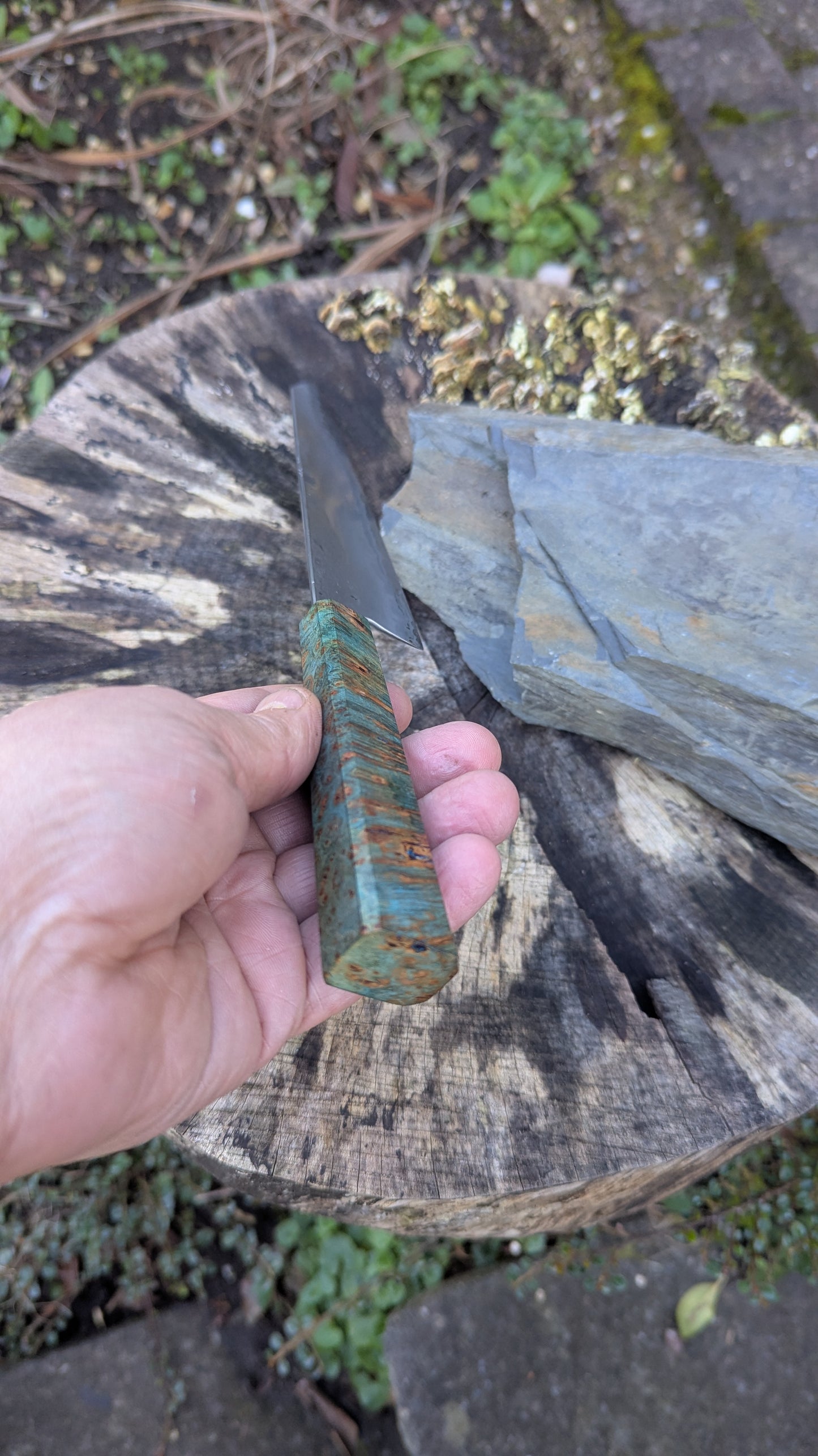 Kiritsuke 175mm. Takefu Super Blue Stainless Clad San Mai. Field Maple Burl Handle