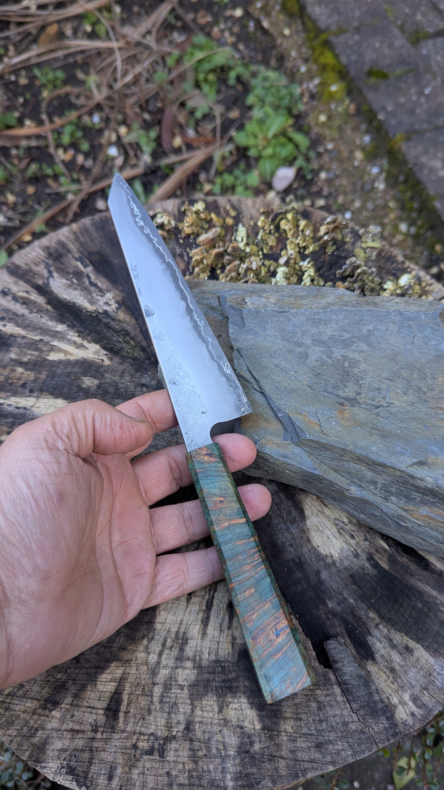 Kiritsuke 175mm. Takefu Super Blue Stainless Clad San Mai. Field Maple Burl Handle