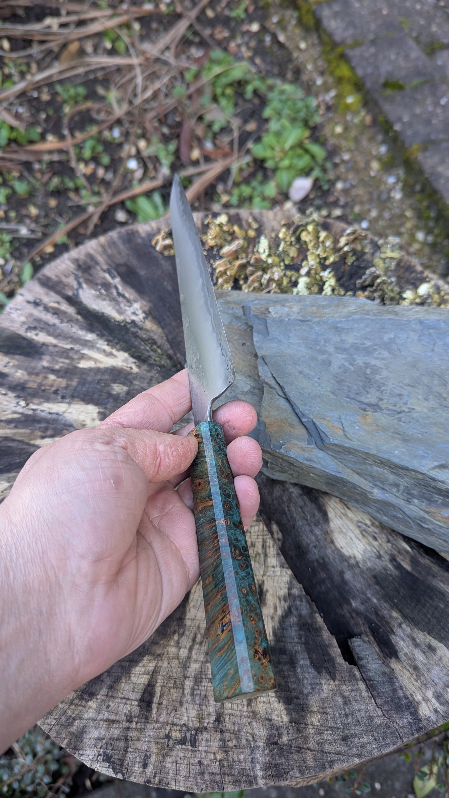 Kiritsuke 175mm. Takefu Super Blue Stainless Clad San Mai. Field Maple Burl Handle