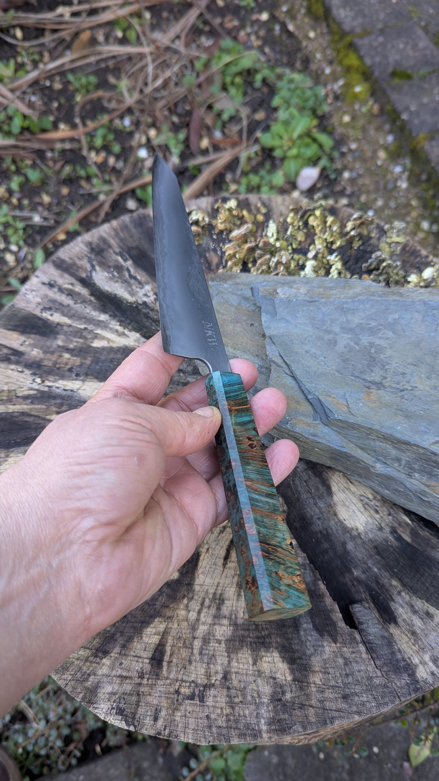Kiritsuke 175mm. Takefu Super Blue Stainless Clad San Mai. Field Maple Burl Handle