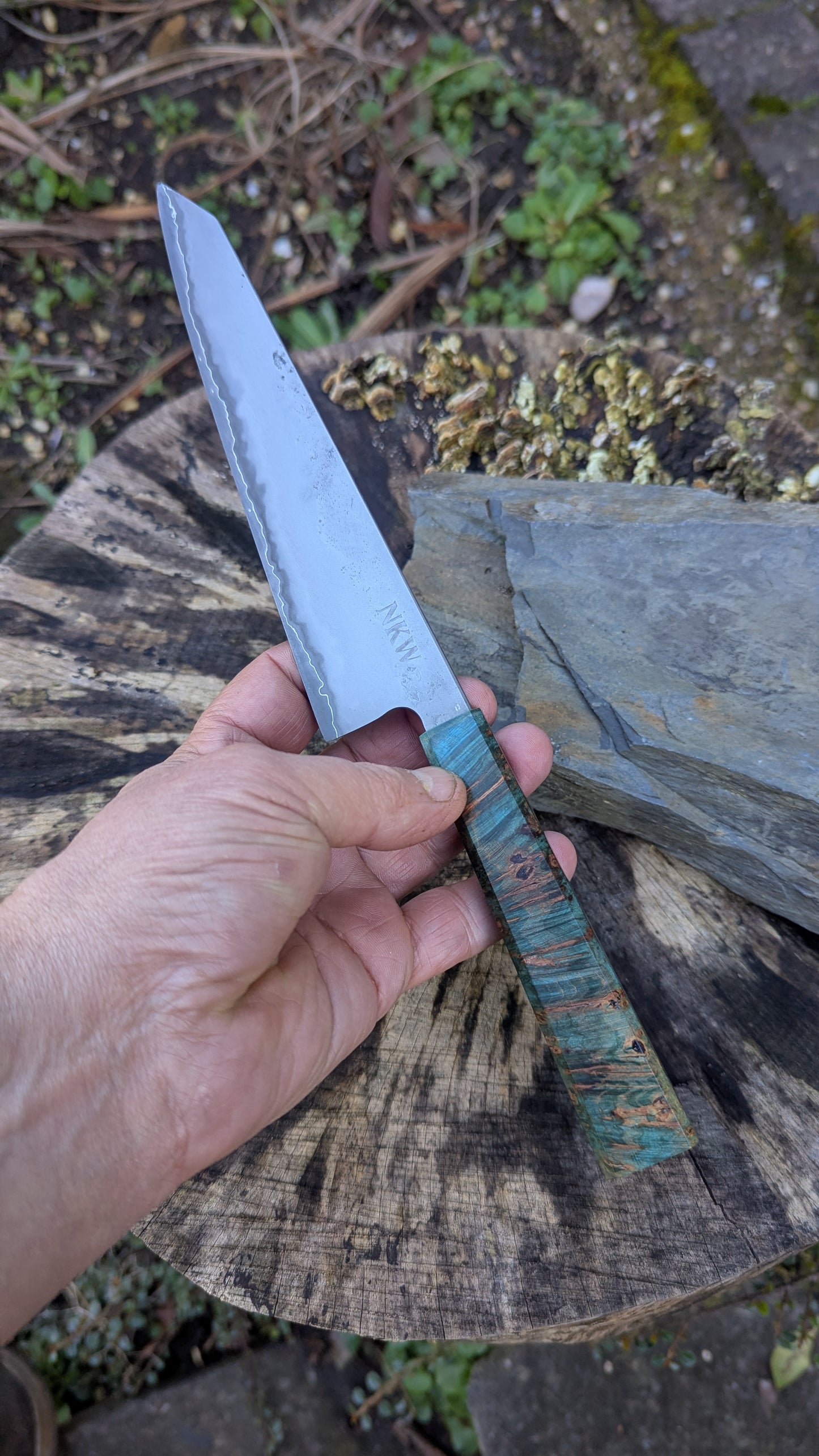 Kiritsuke 175mm. Takefu Super Blue Stainless Clad San Mai. Field Maple Burl Handle